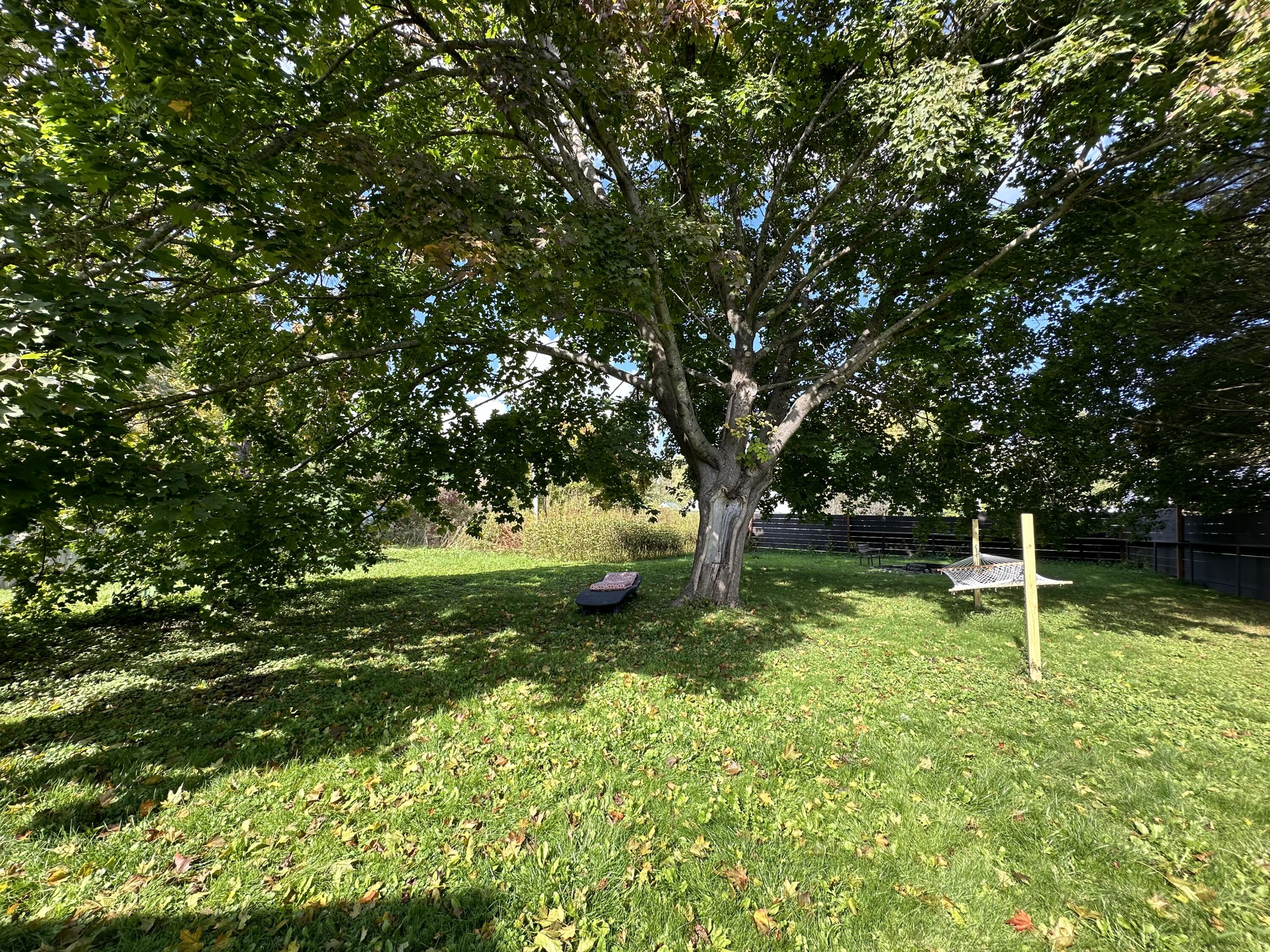 18 Simmons Street Property Photo 71
