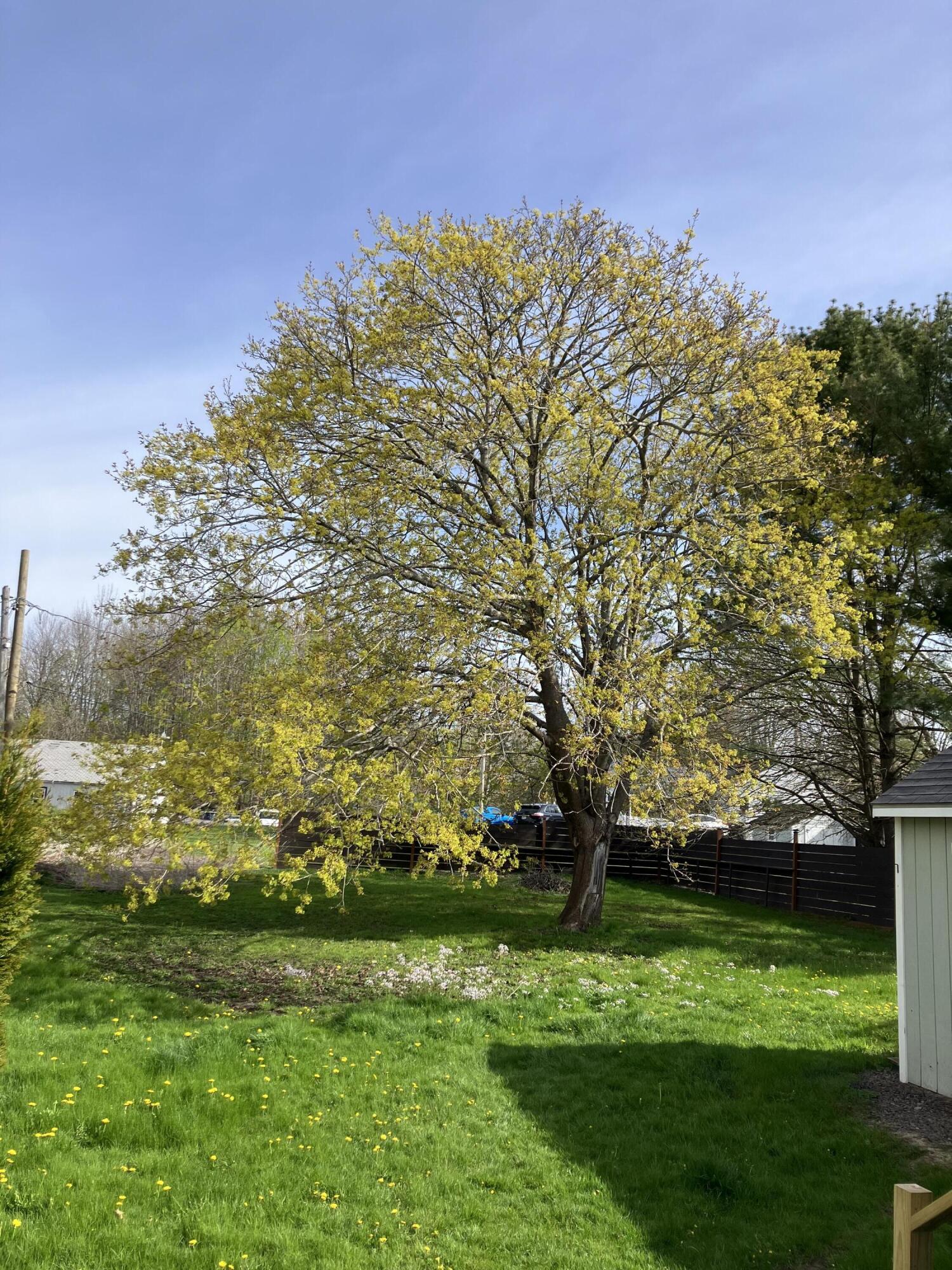 18 Simmons Street Property Photo 73