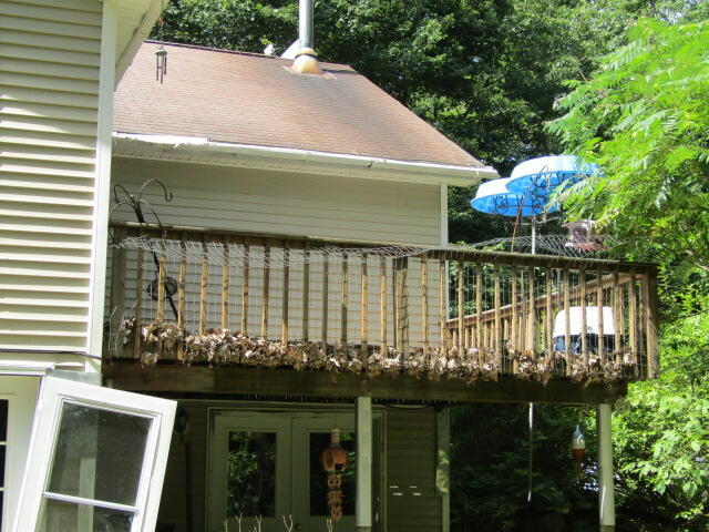 22 Shamrock Lane Property Photo 3