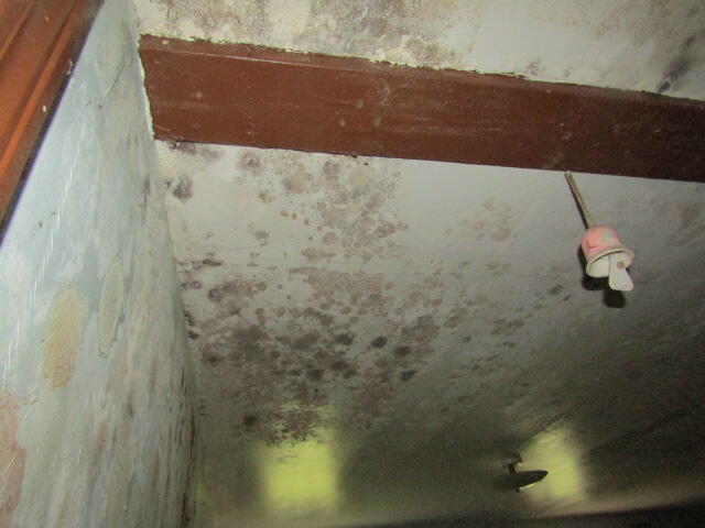 22 Shamrock Lane Property Photo 6