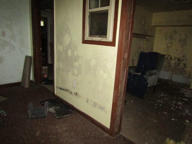 22 Shamrock Lane Property Photo 15