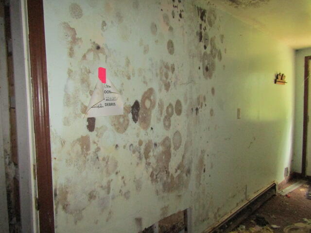 22 Shamrock Lane Property Photo 23