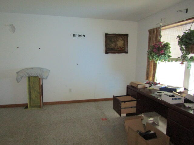 22 Shamrock Lane Property Photo 43