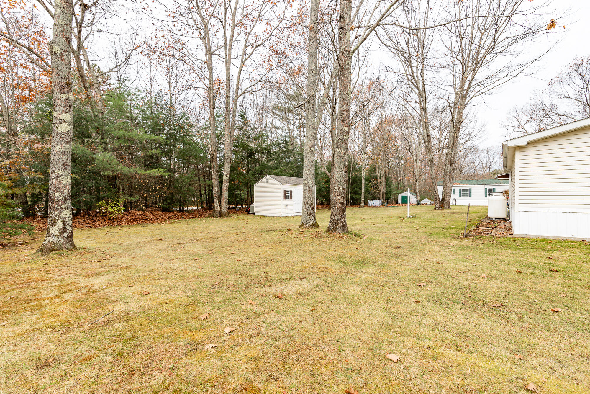 40 Lady Slipper Lane Property Photo 33