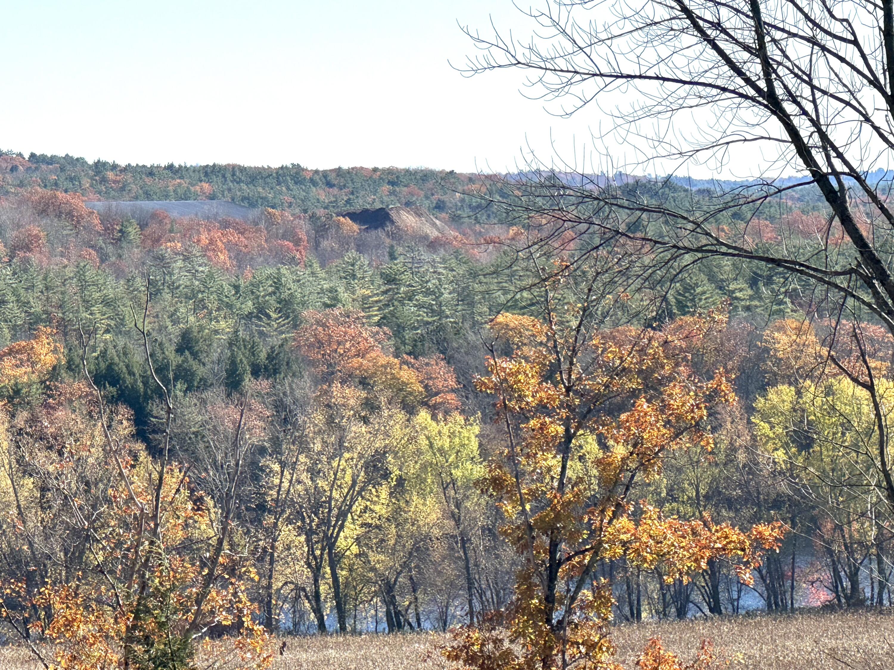 554 River Road Property Photo 5