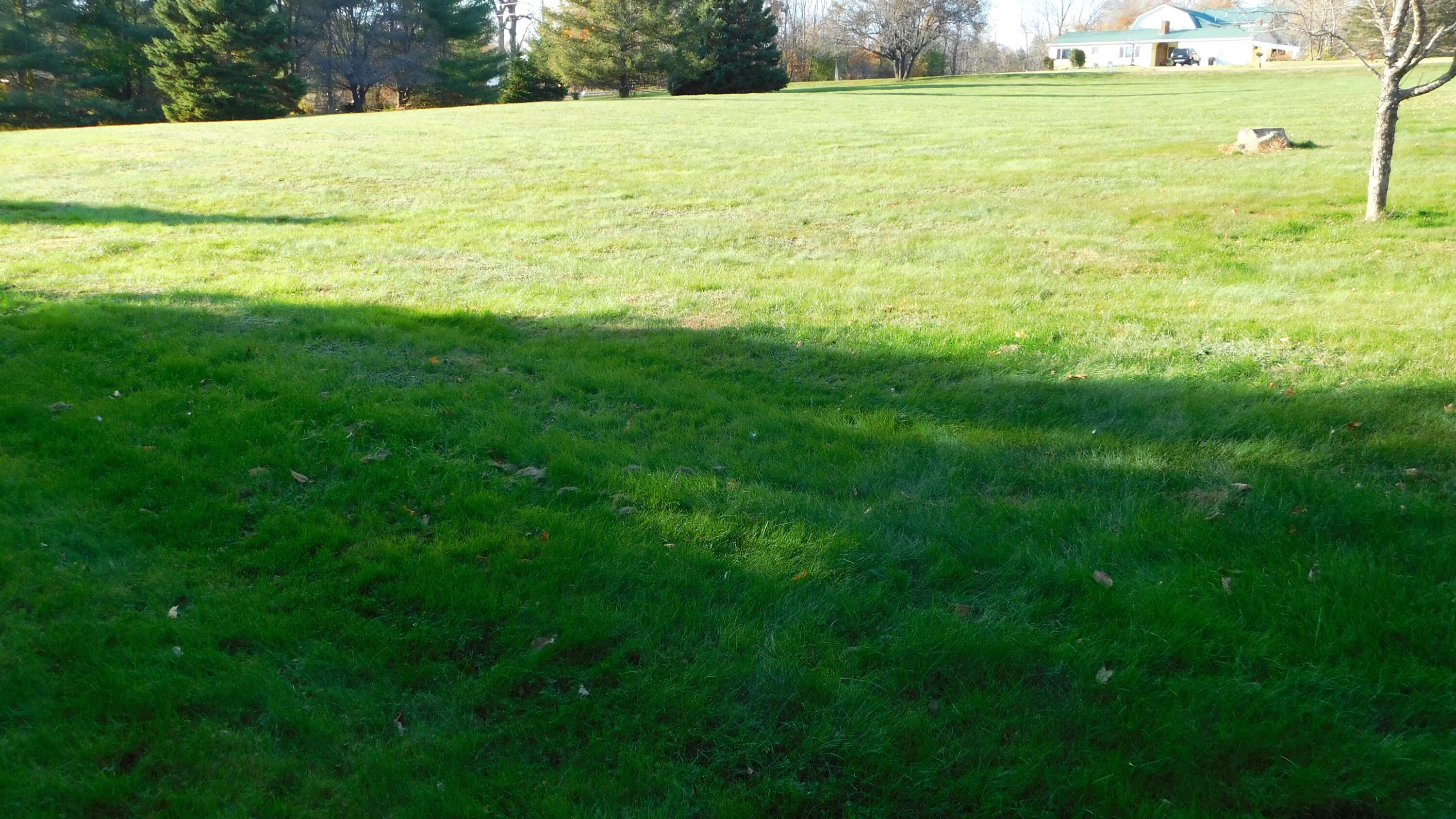110 Shore Road Property Photo 83