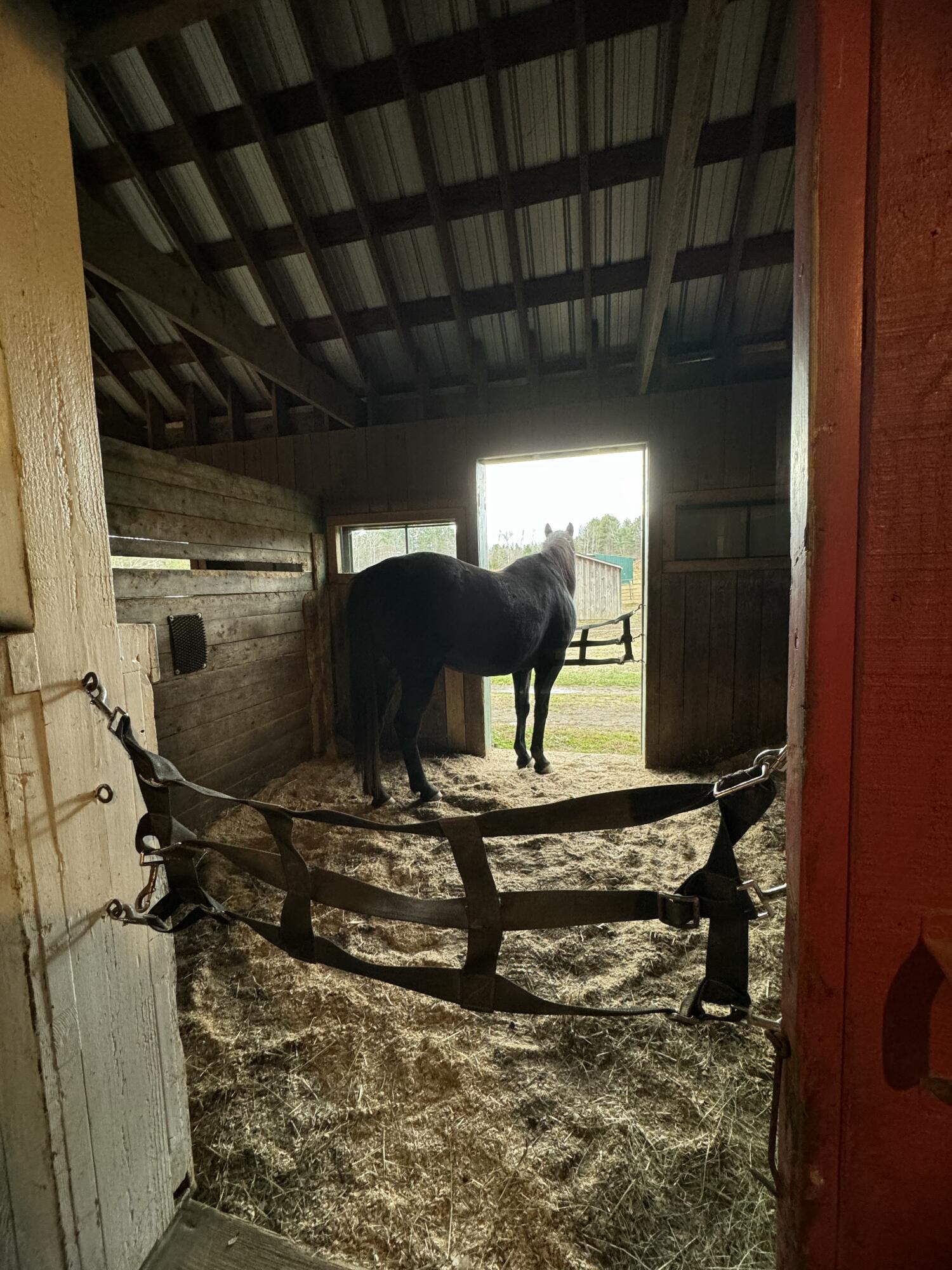 186 Garland Line Road Property Photo 33