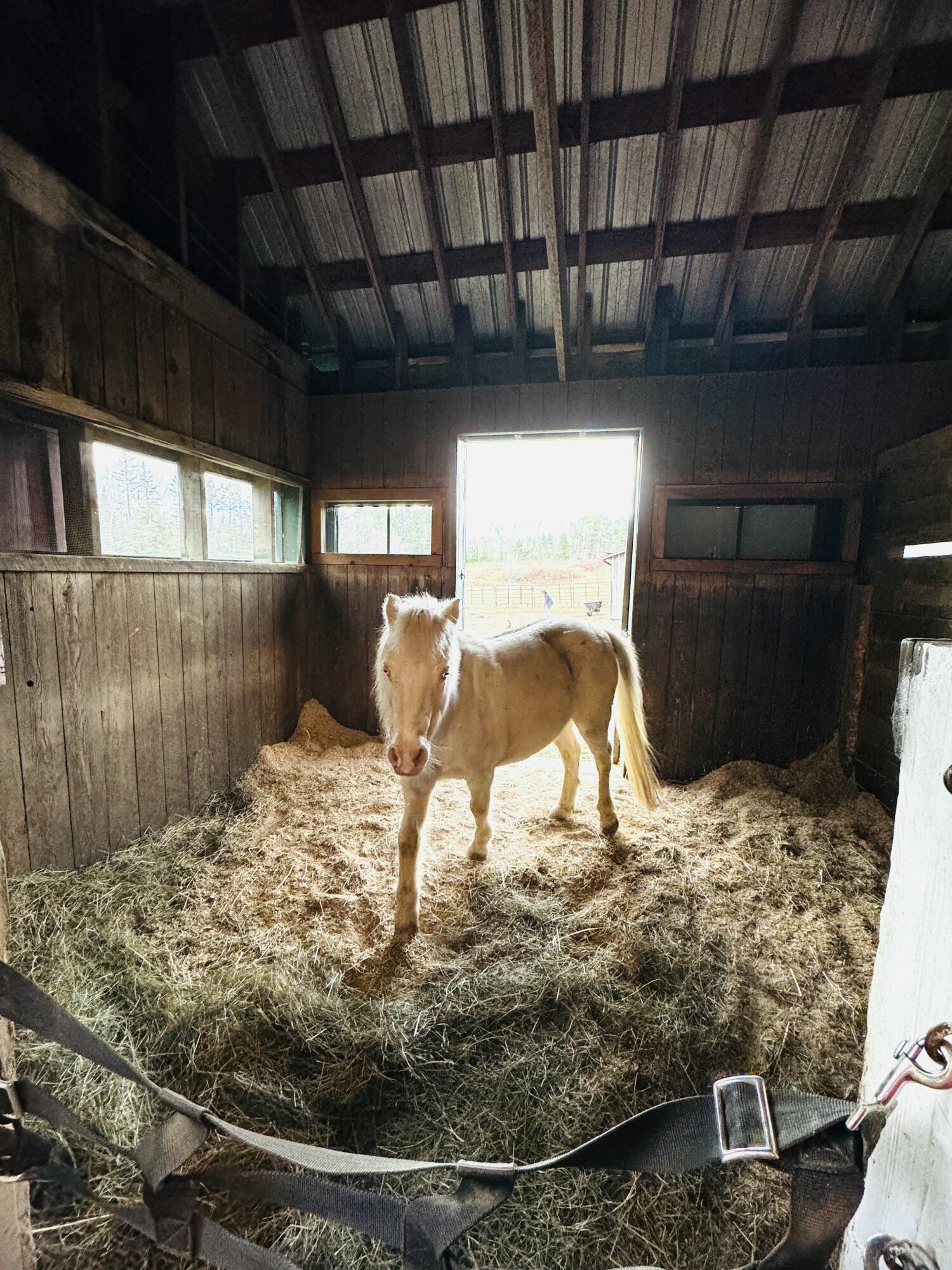 186 Garland Line Road Property Photo 37