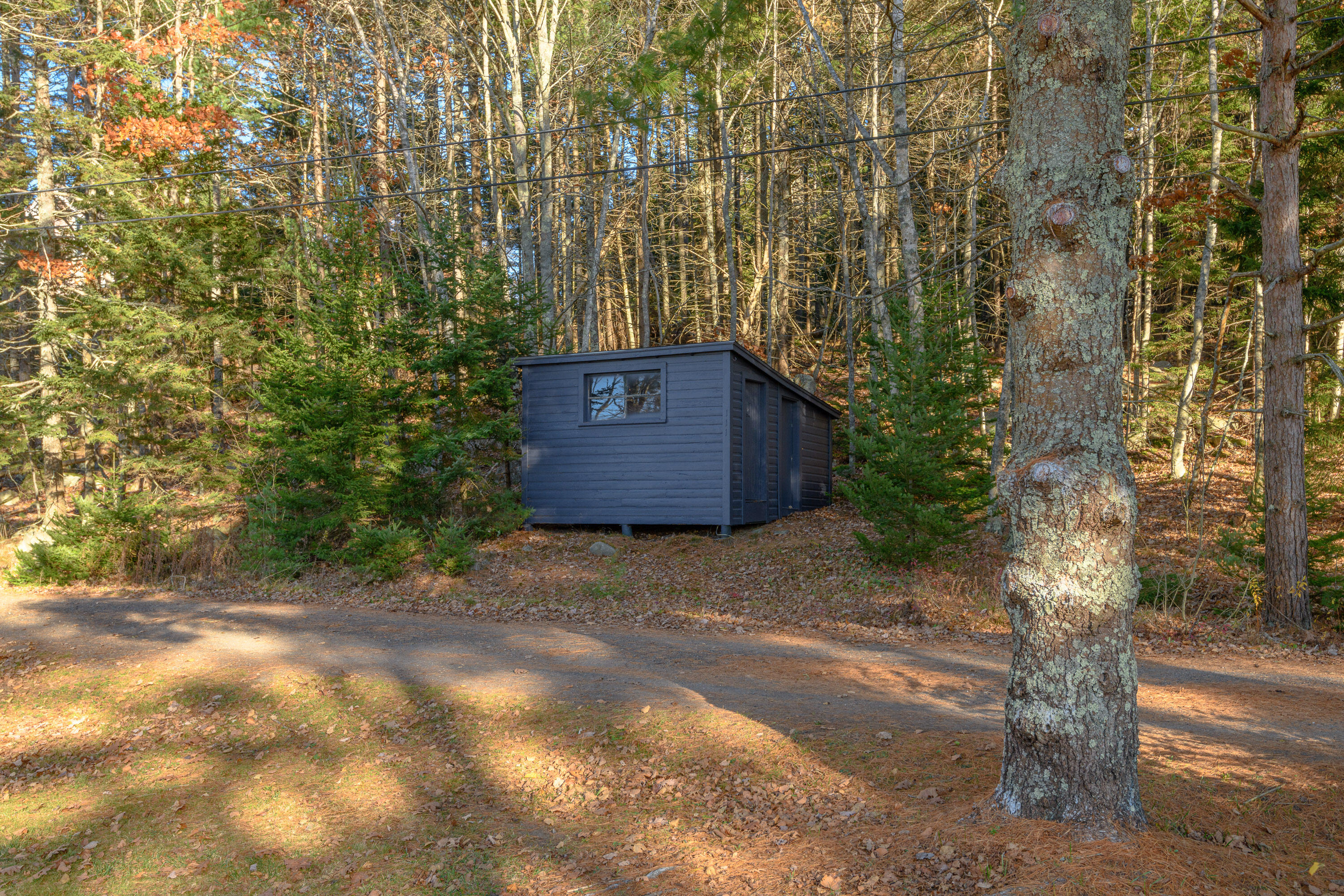 117 & 113 Loop Road Property Photo 25