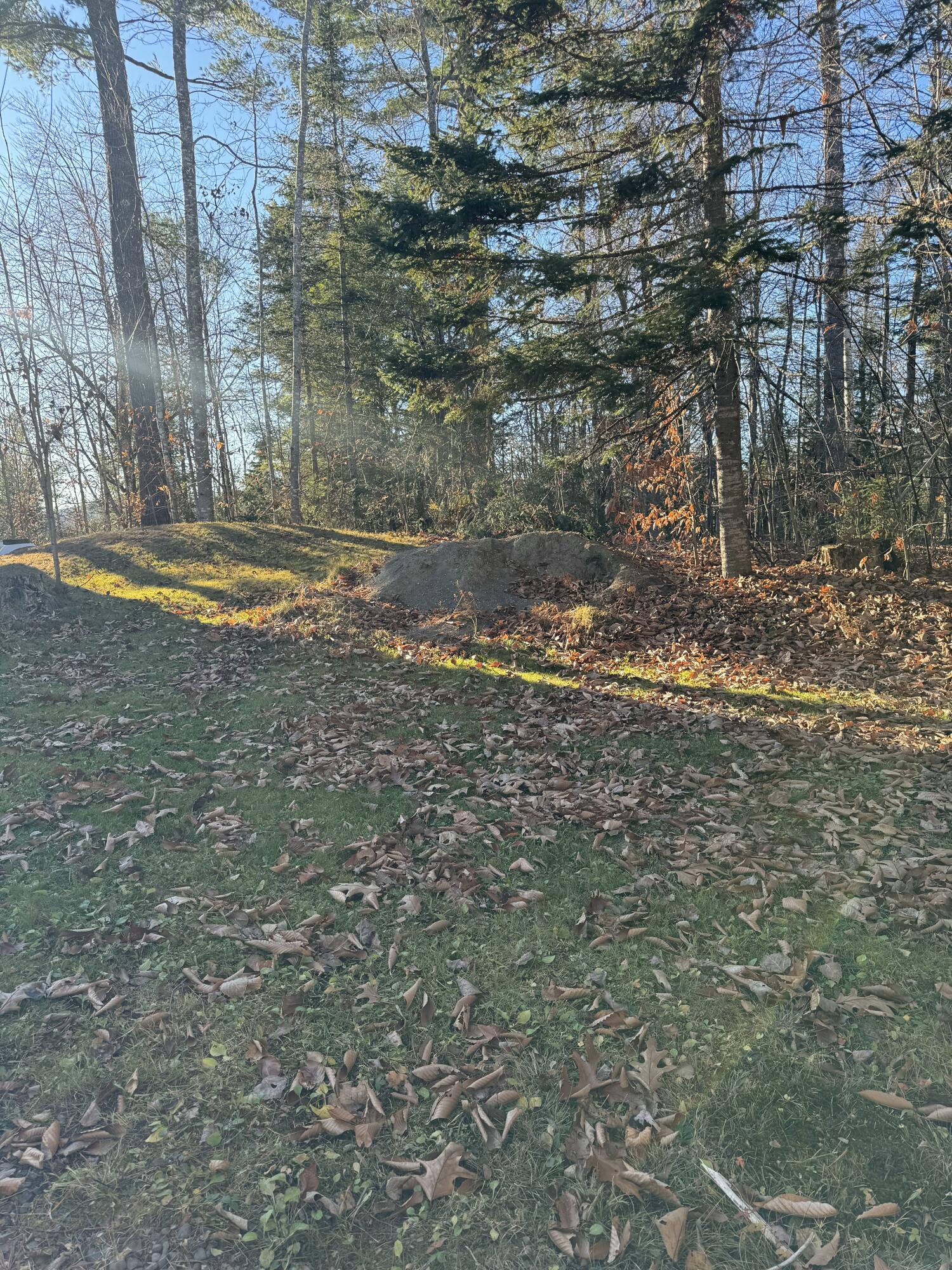 49 N Shore Road Property Photo 59