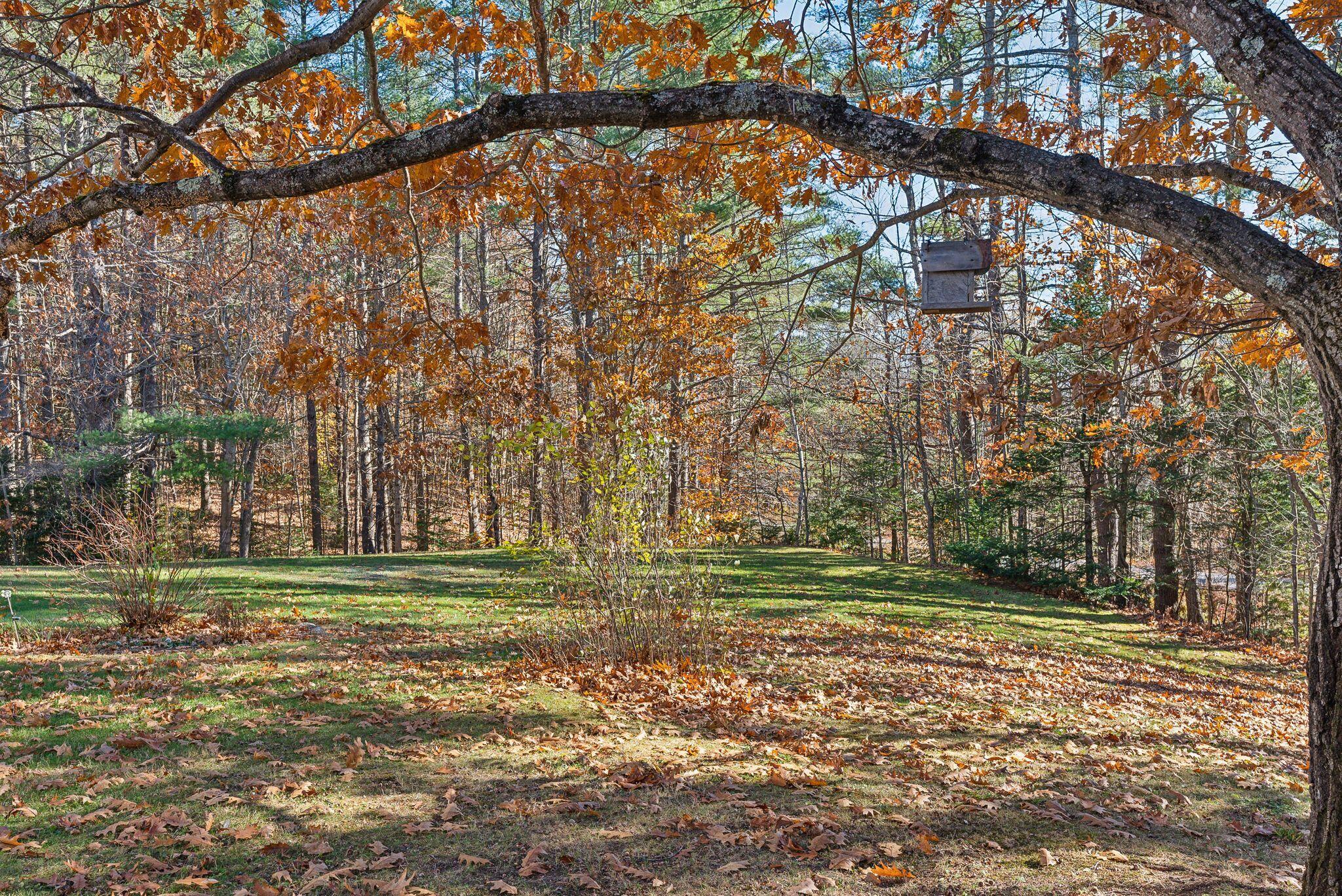 173 Darnit Road Property Photo 6
