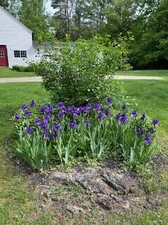 173 Darnit Road Property Photo 56