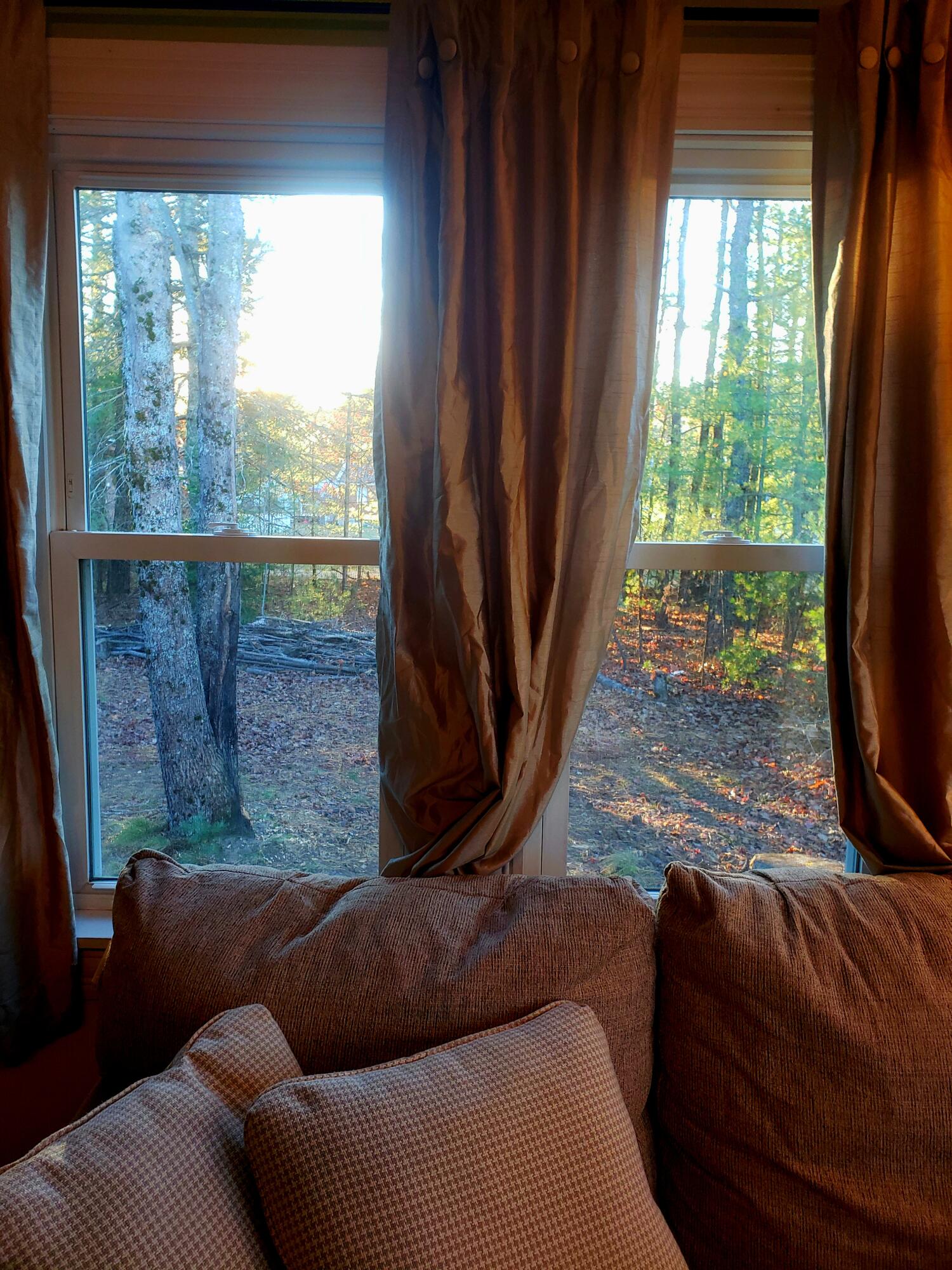 599 Plains Road Property Photo 33