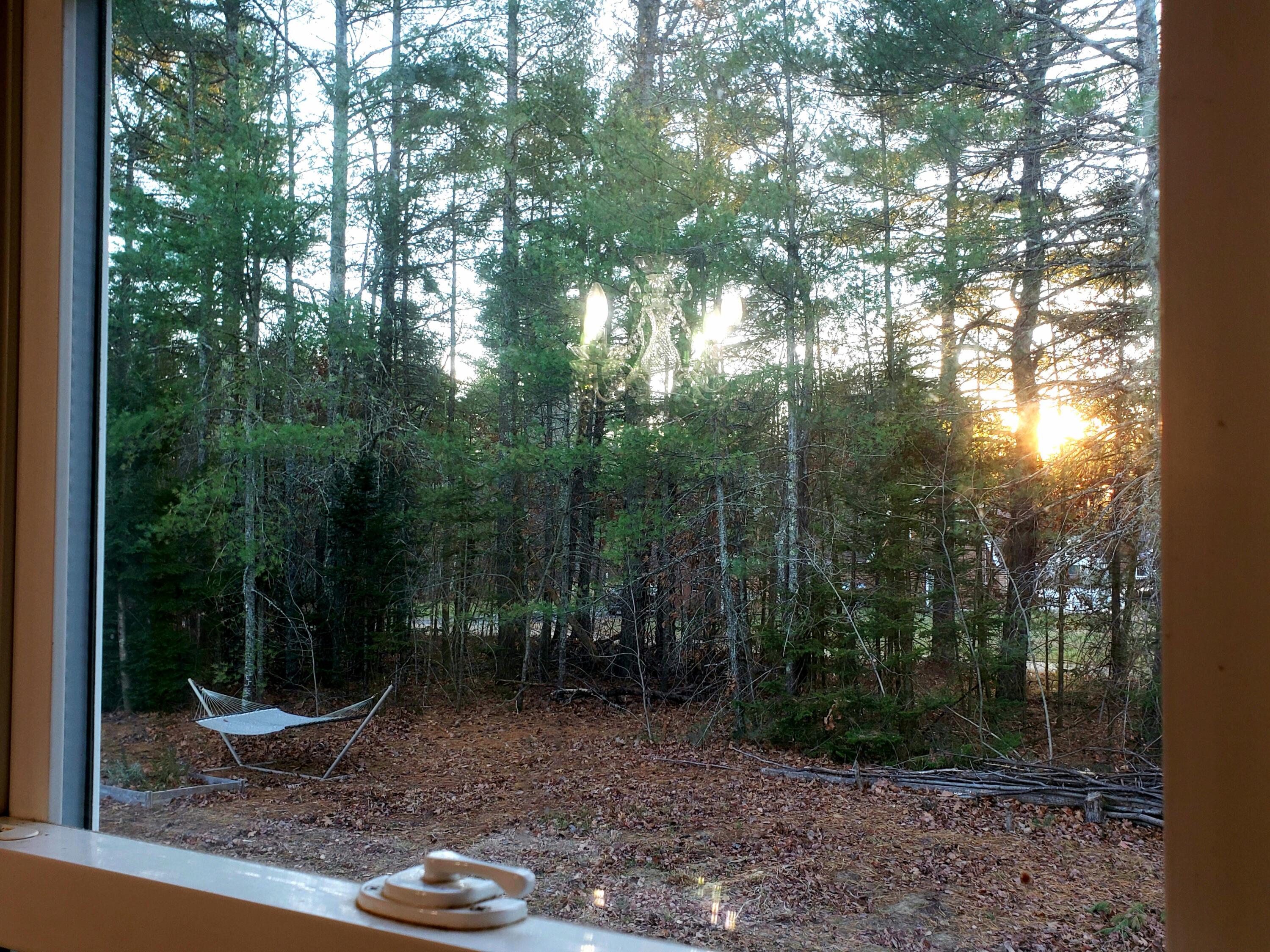599 Plains Road Property Photo 34