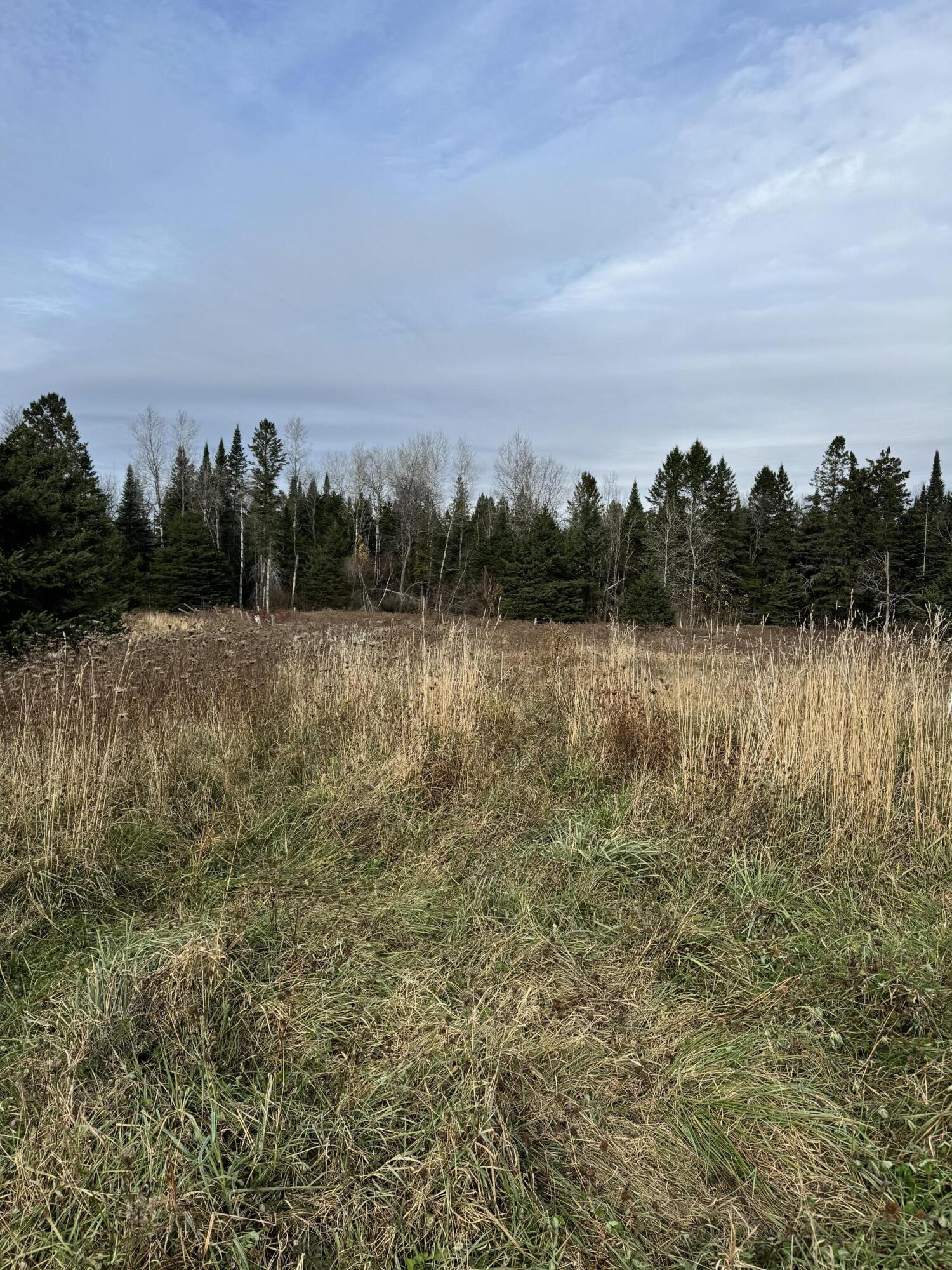 117 Tremblay Road Property Photo 4