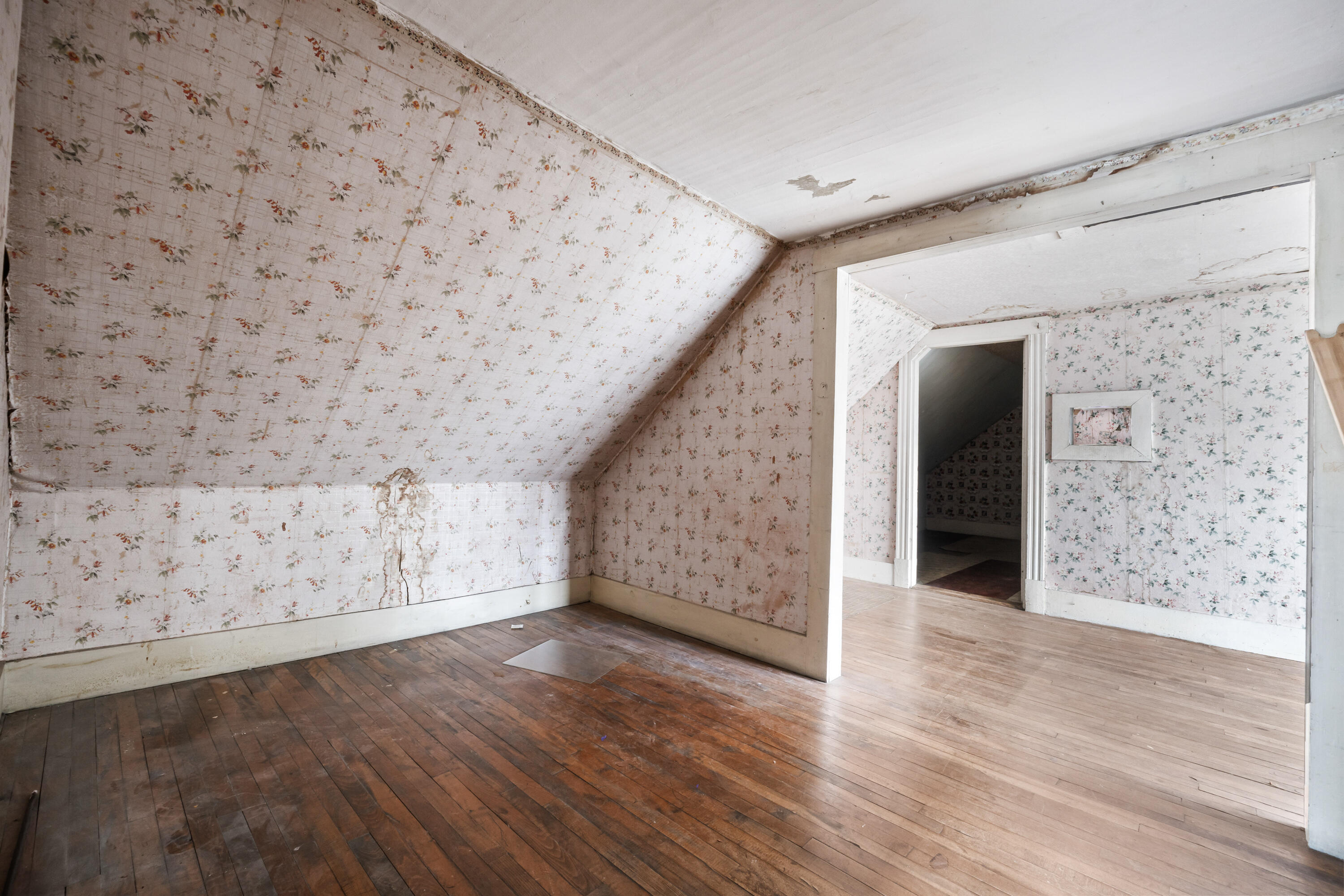 335 & 341 Hartland Avenue Property Photo 39