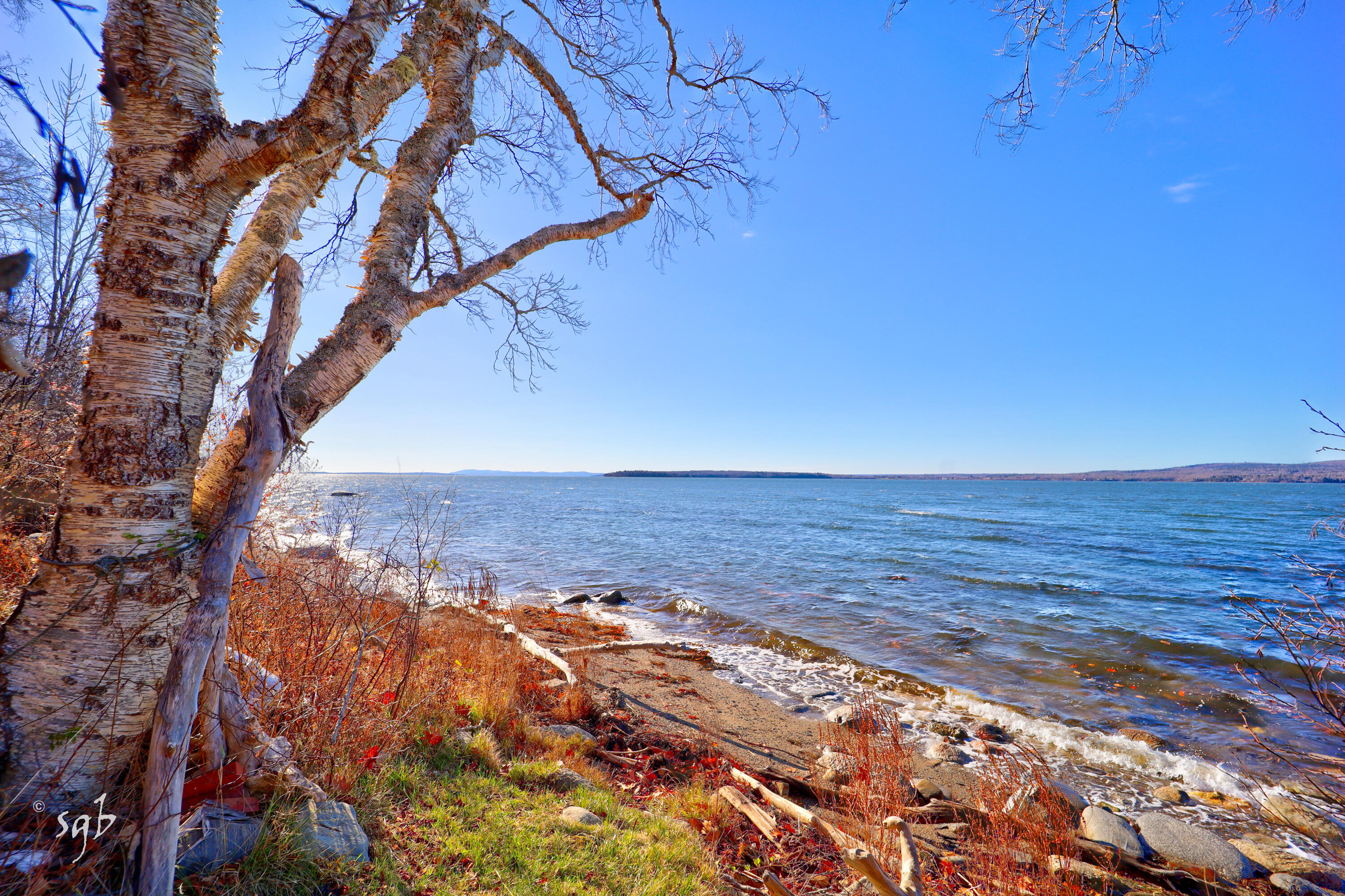 1596 Castine Road Property Photo 6