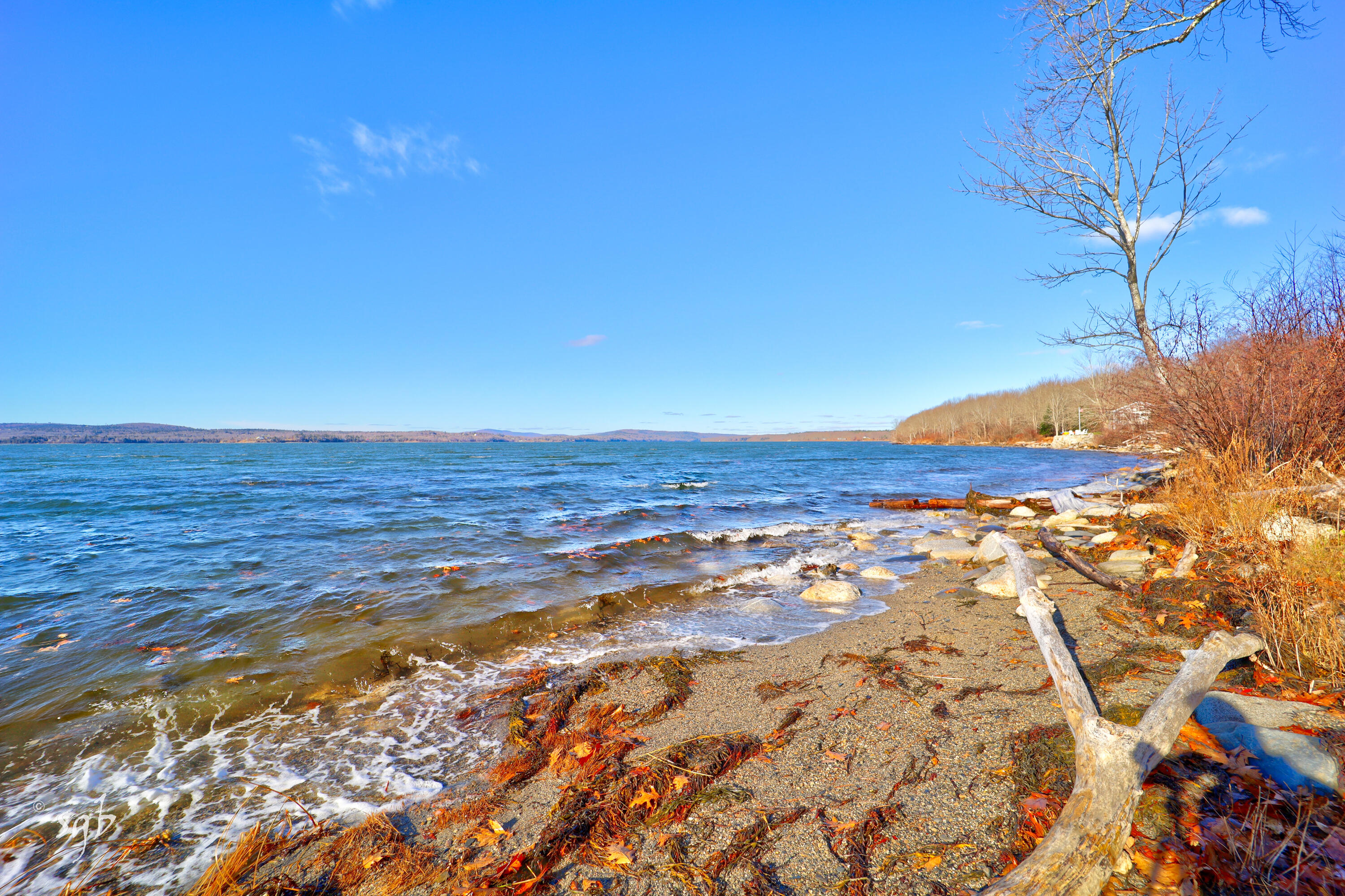 1596 Castine Road Property Photo 7