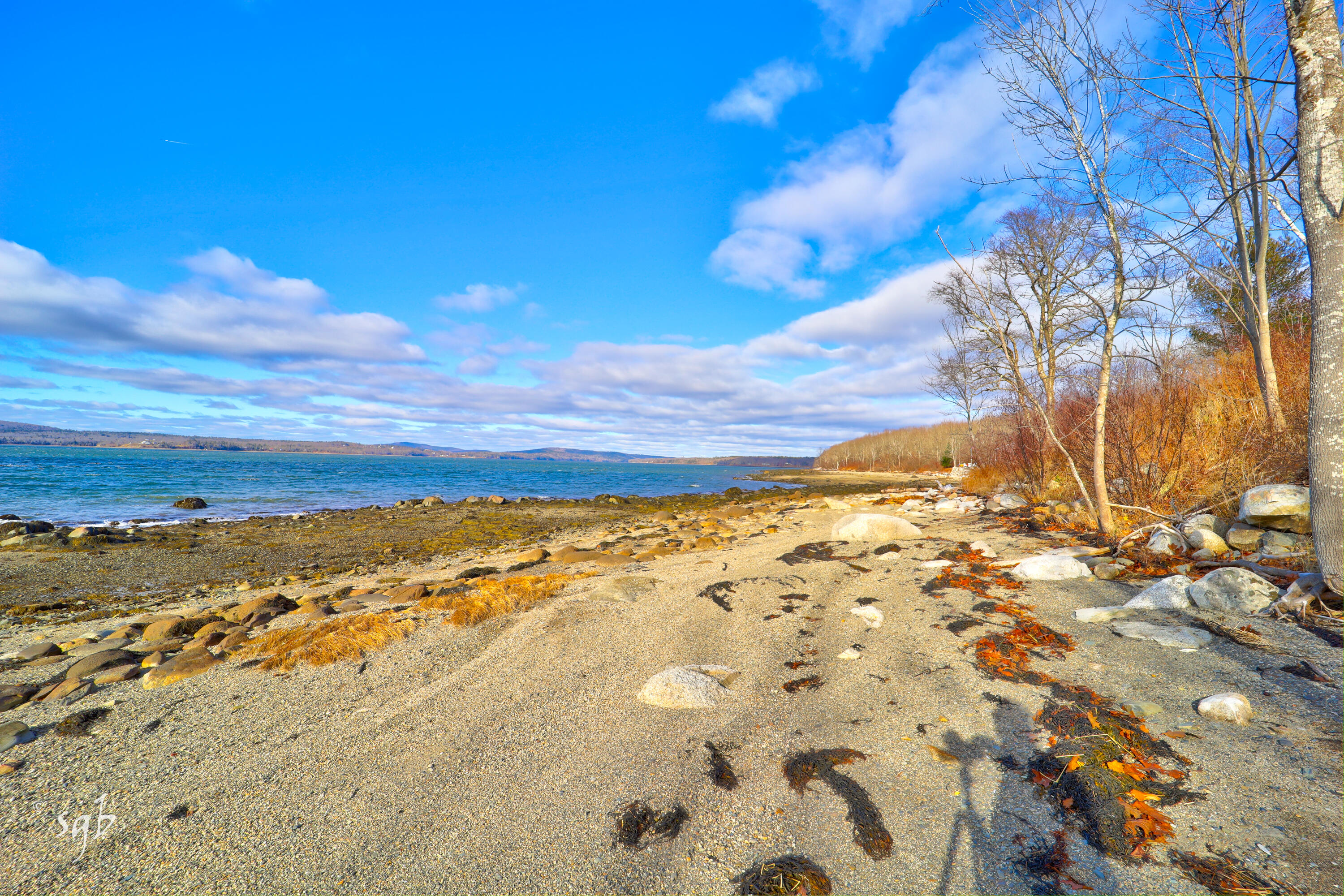 1596 Castine Road Property Photo 8
