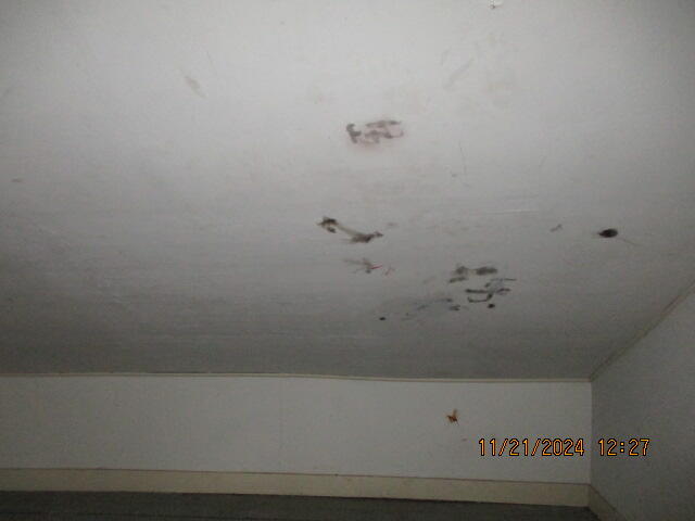 15 Florence Street Property Photo 28