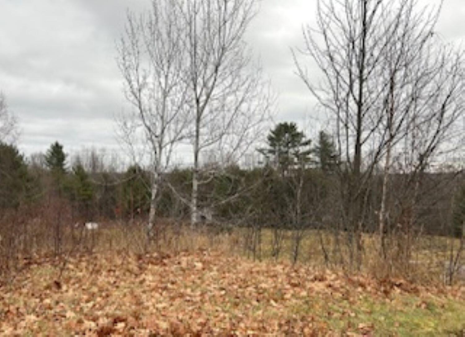 20 Monument Road Property Photo 39