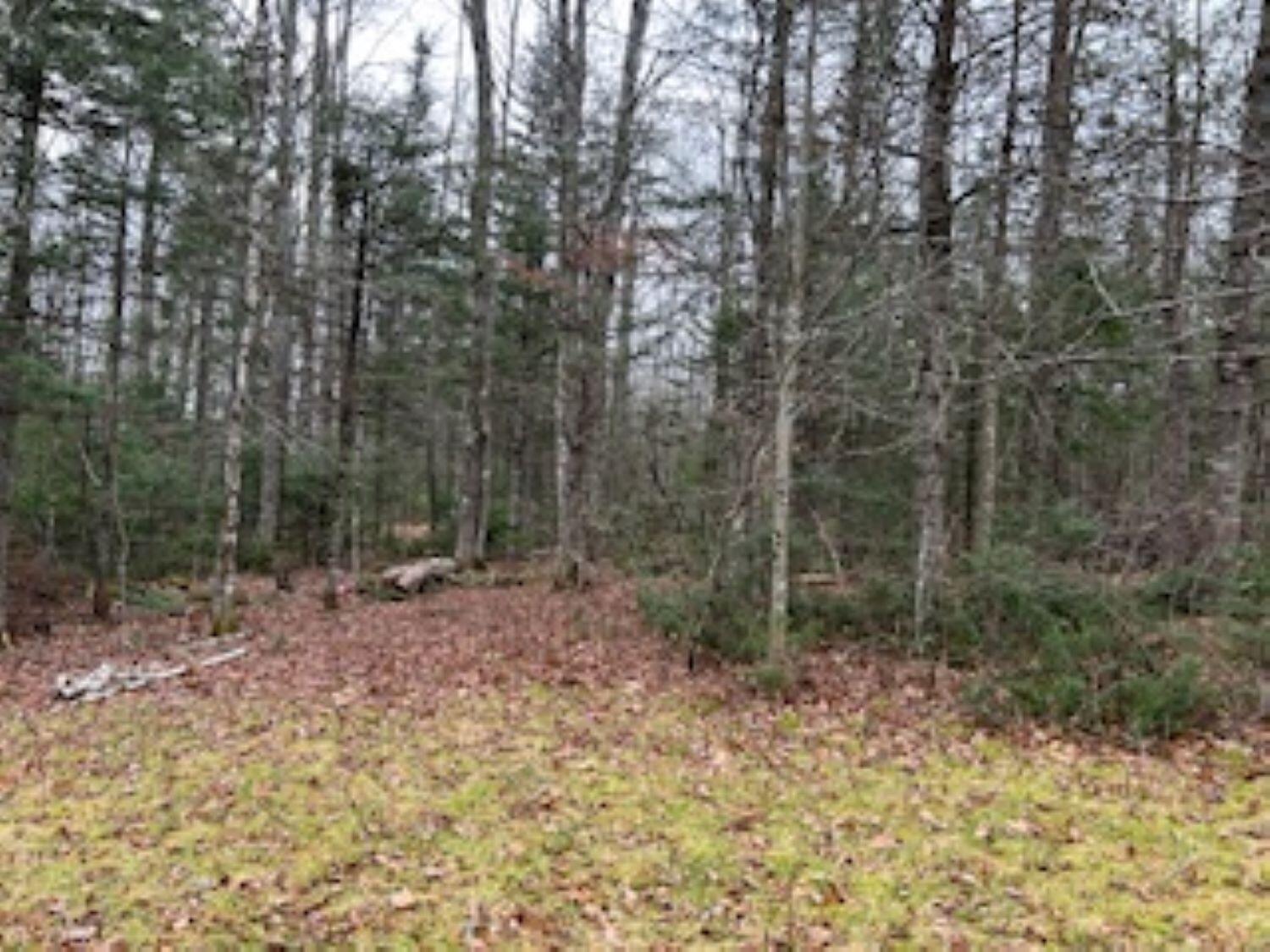 20 Monument Road Property Photo 40