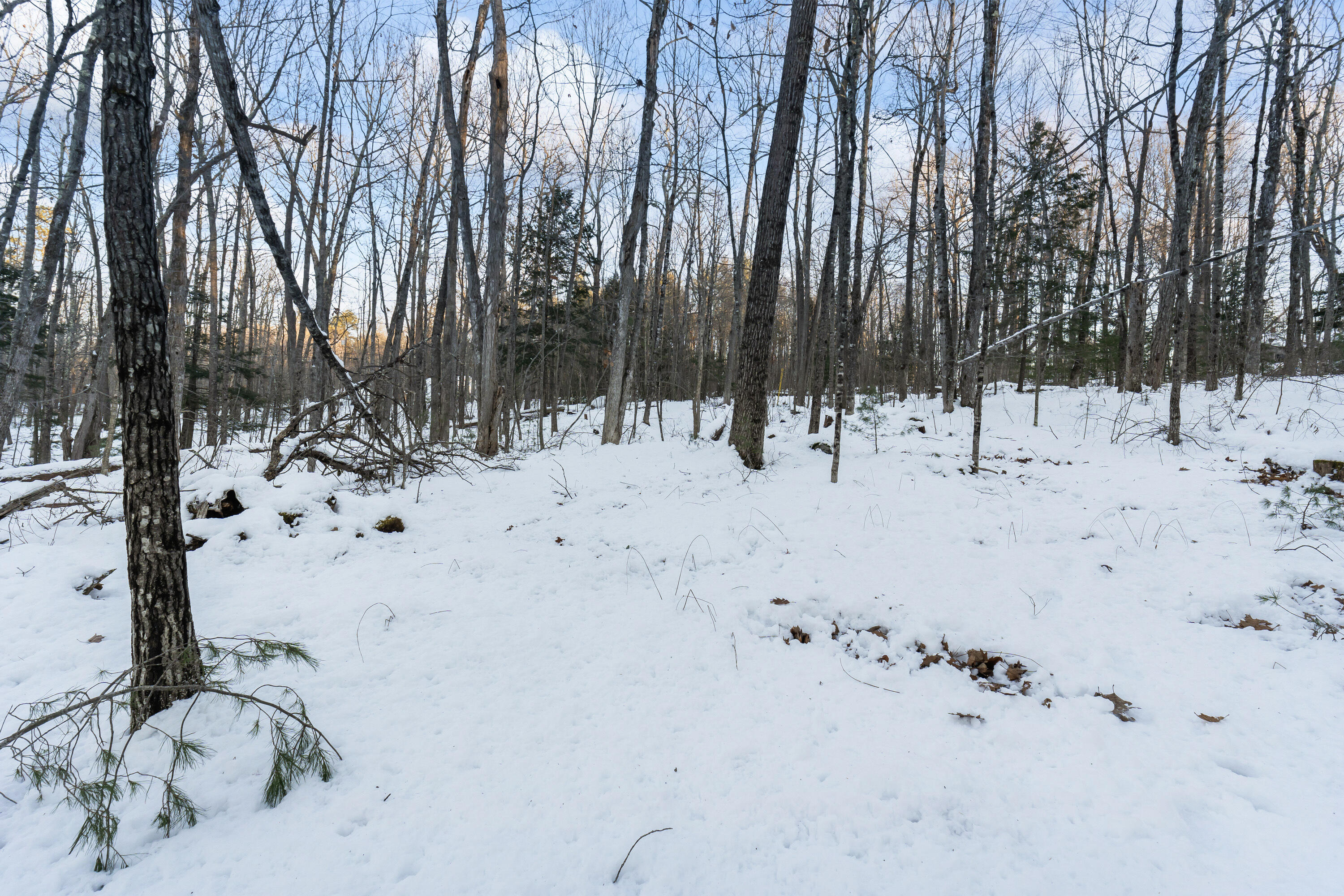 Lot 3a1 Prescott Road Property Photo 10
