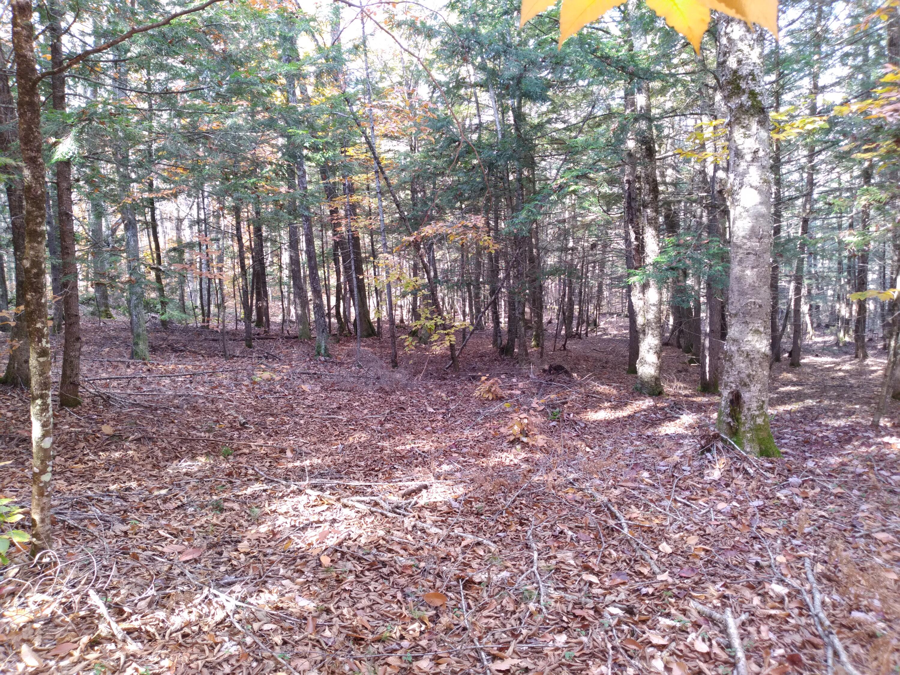 21-8 Raven Lane Property Photo 7