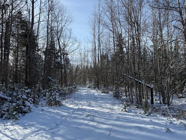 Lot 10 Us-1 Property Photo 17