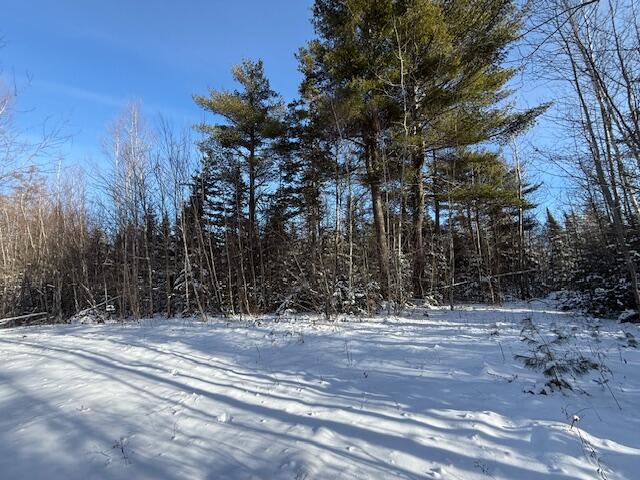Lot 10 Us-1 Property Photo 19
