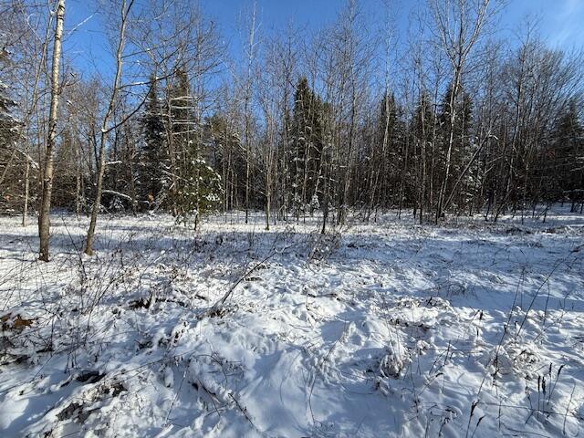 Lot 10 Us-1 Property Photo 25