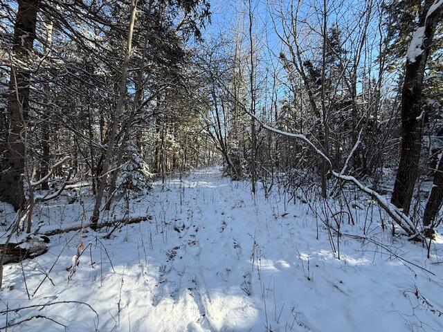 Lot 10 Us-1 Property Photo 39