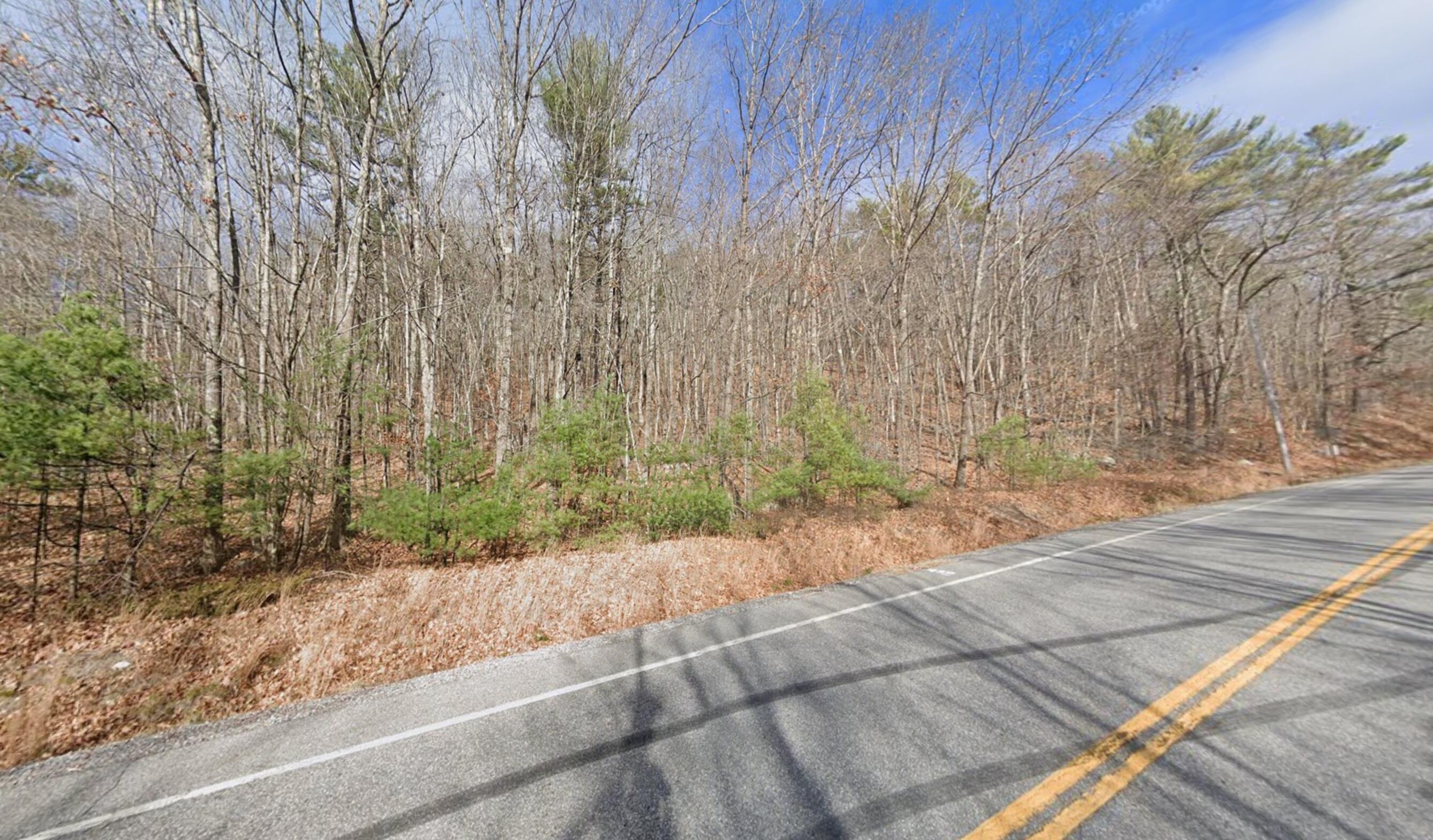 Lot #38 Poland Spring Road Property Photo
