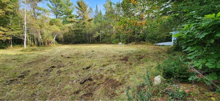 Lot 5 Blaine Avenue Property Photo