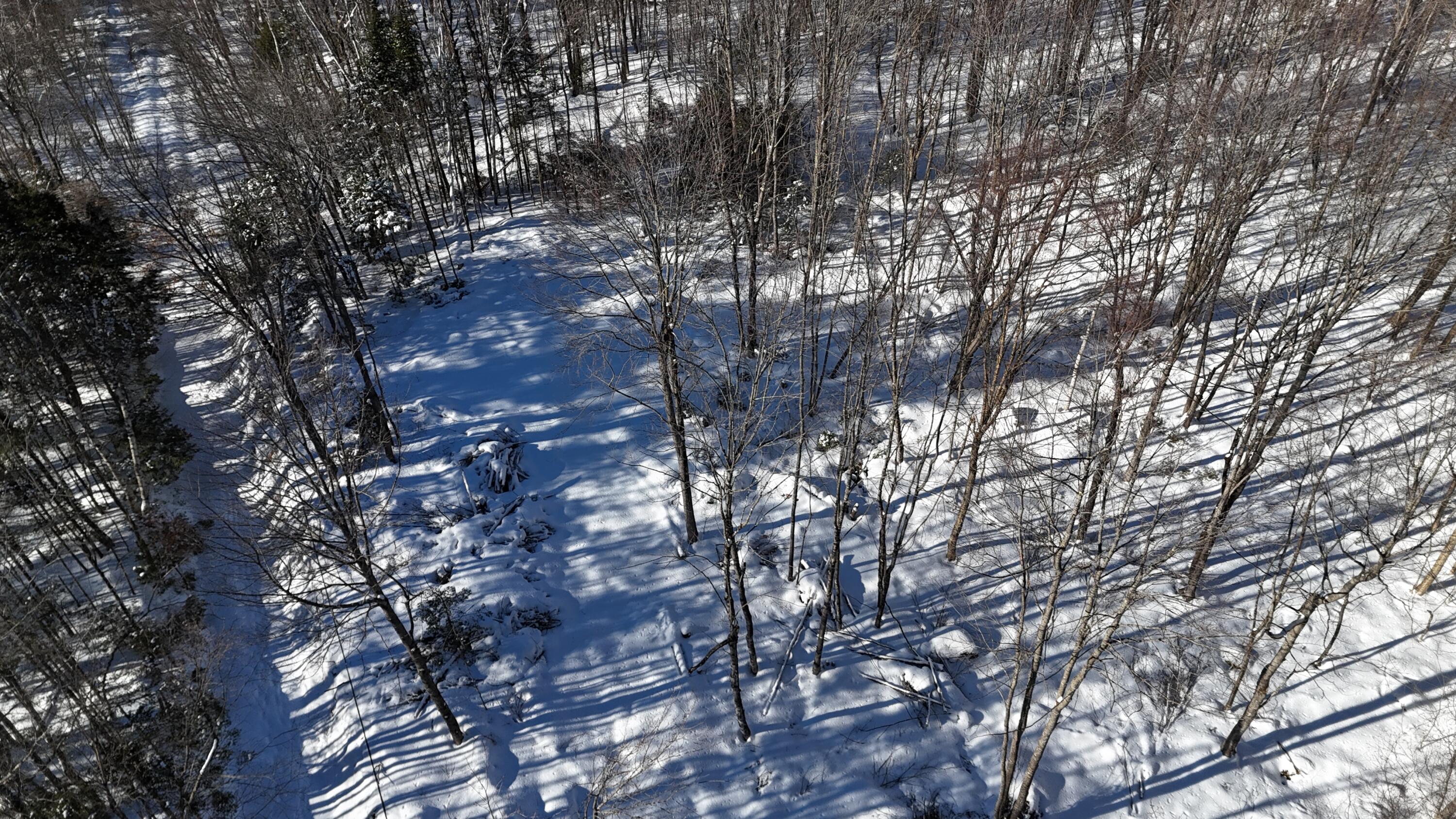 Tbd Dunn Road Property Photo 2