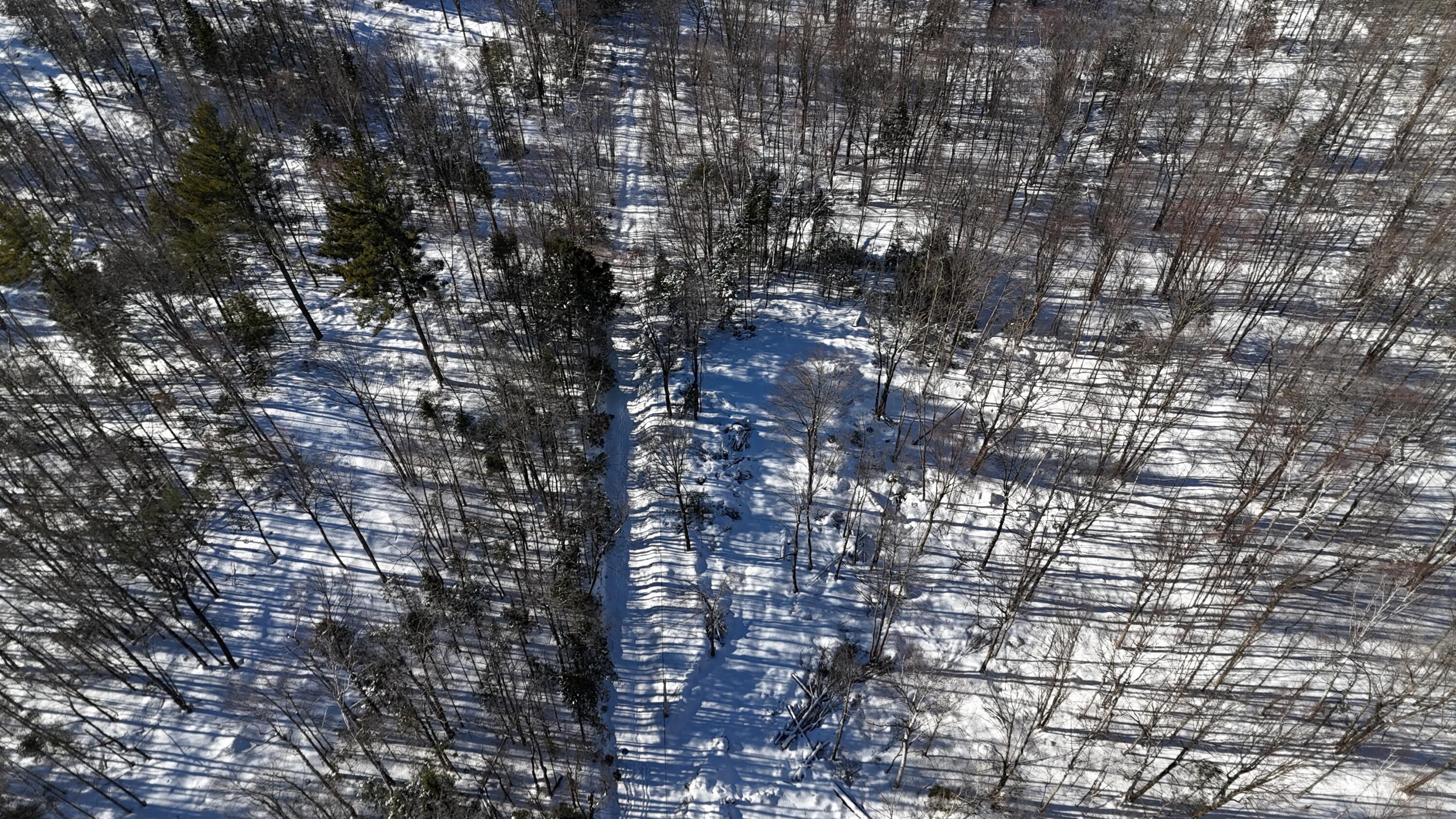 Tbd Dunn Road Property Photo 3