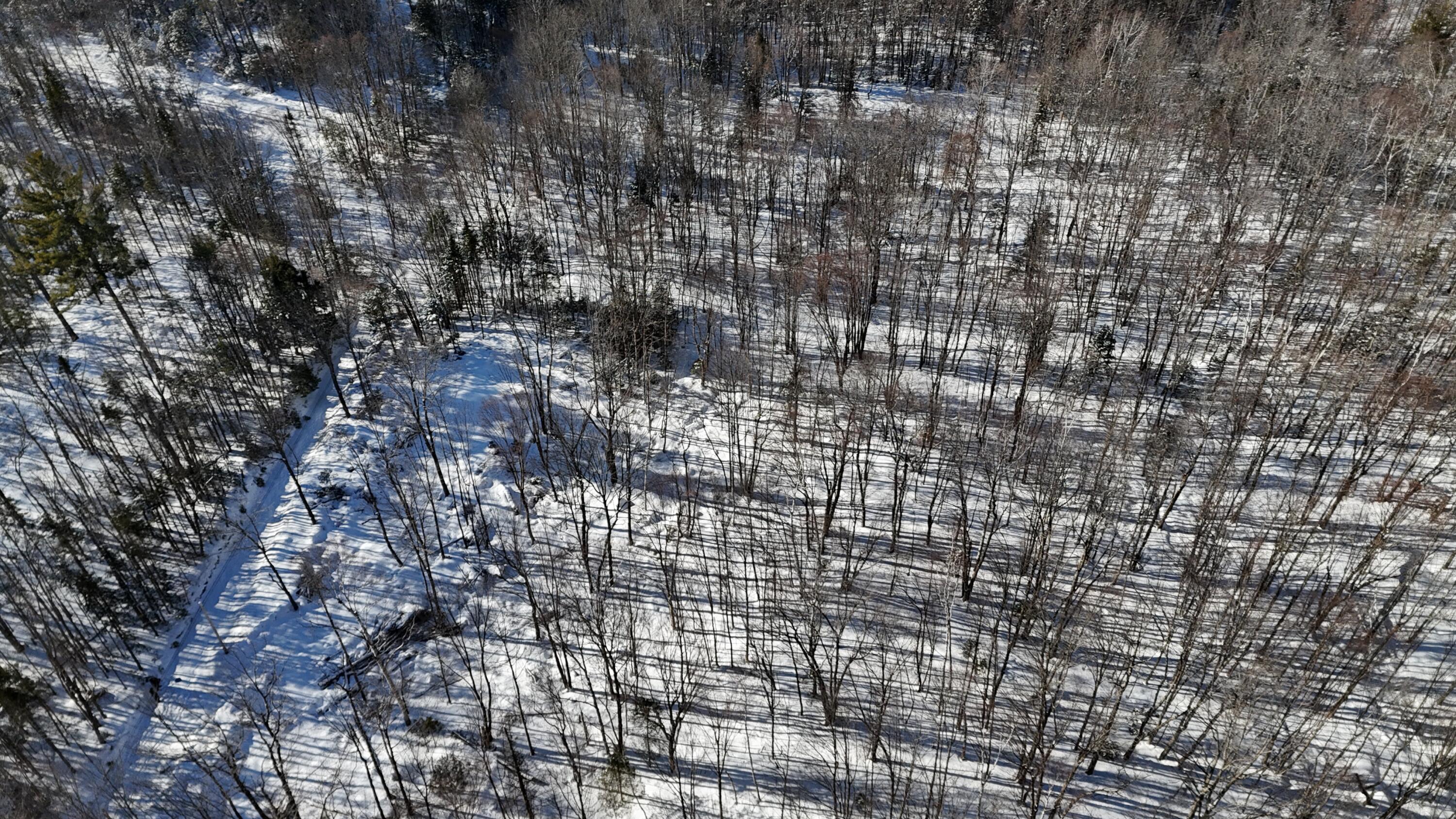 Tbd Dunn Road Property Photo 6
