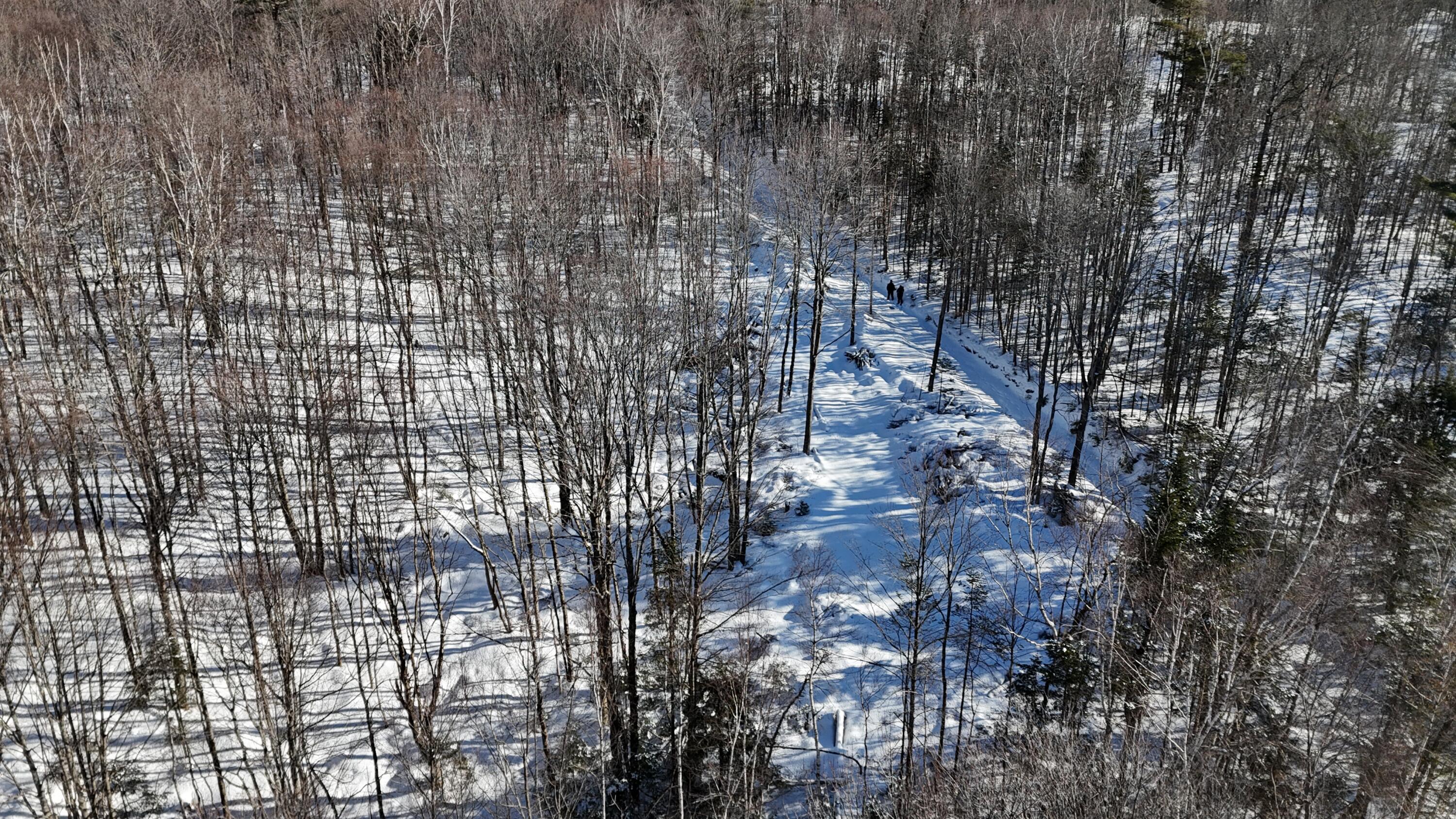 Tbd Dunn Road Property Photo 7