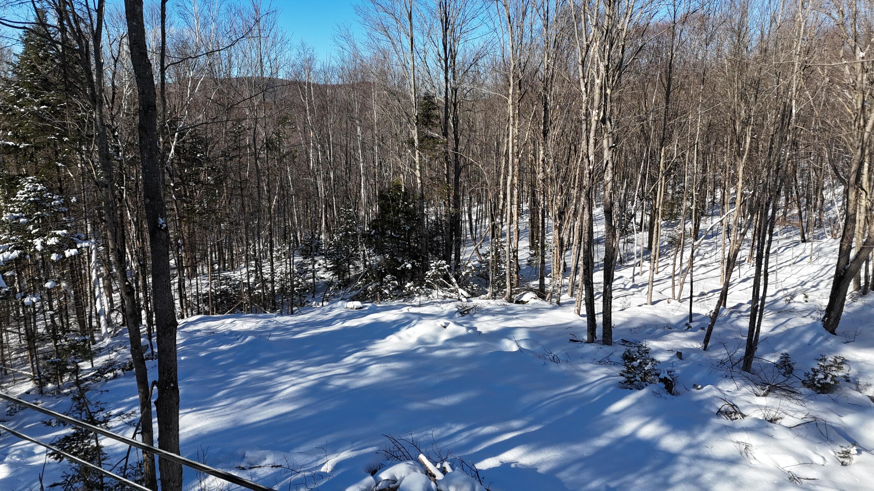 Tbd Dunn Road Property Photo 10