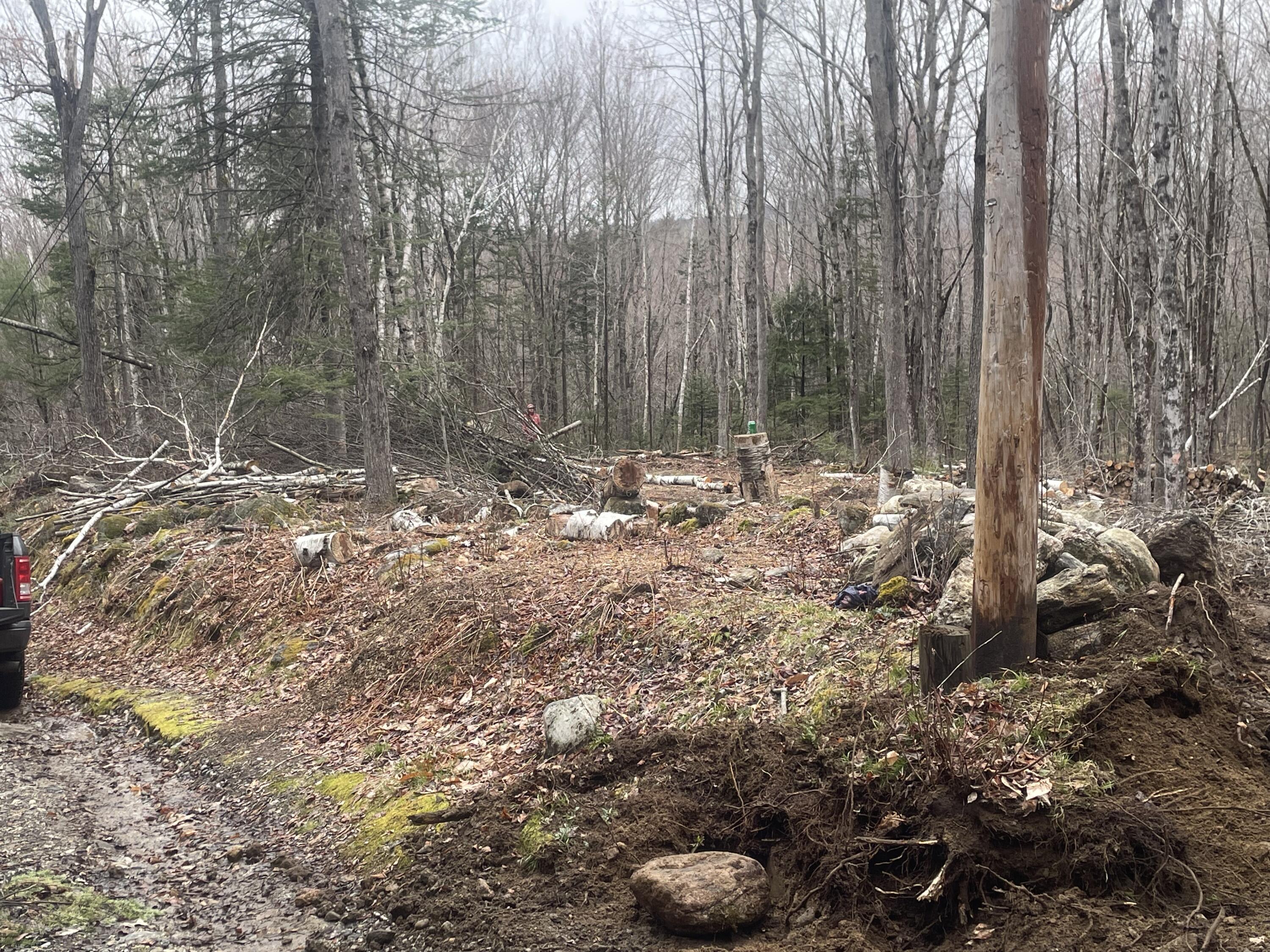 Tbd Dunn Road Property Photo 15