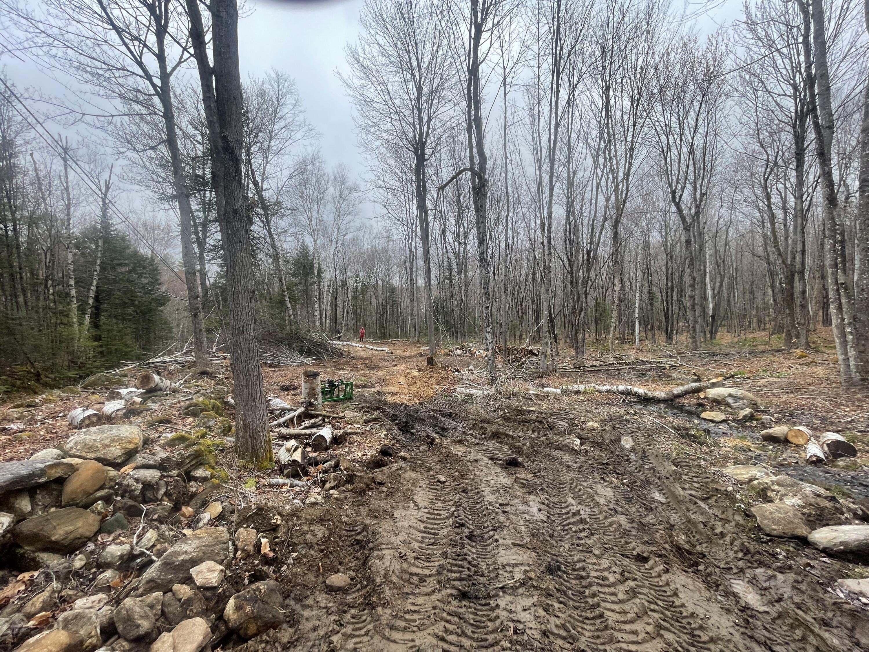 Tbd Dunn Road Property Photo 16