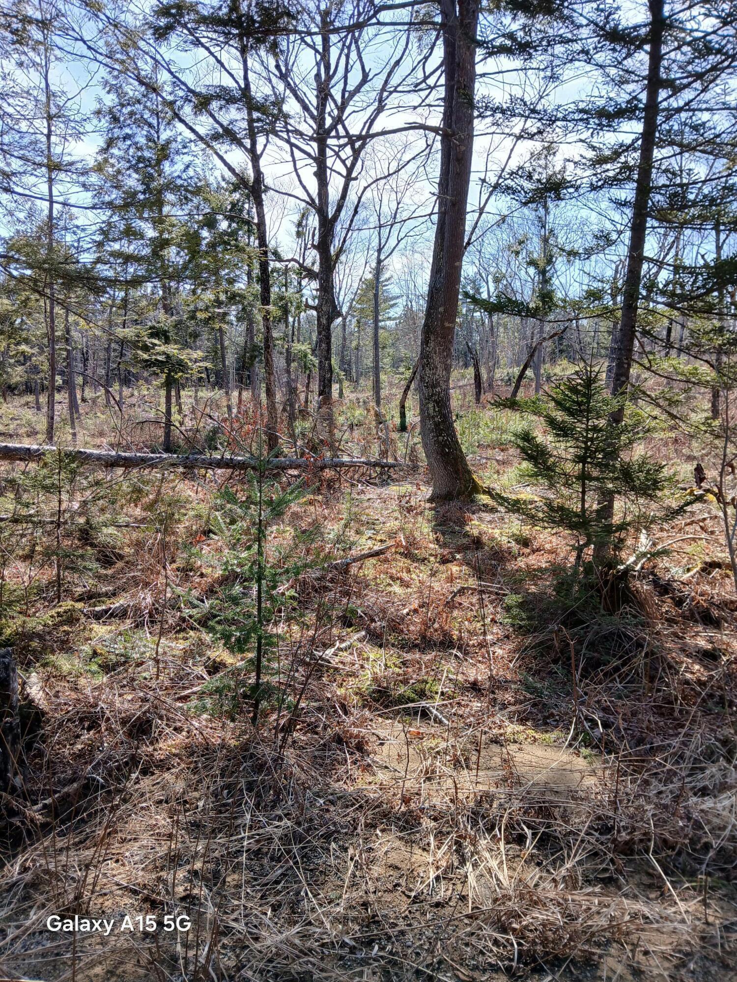 M10 L39-b Christian Hill Road Property Photo 2