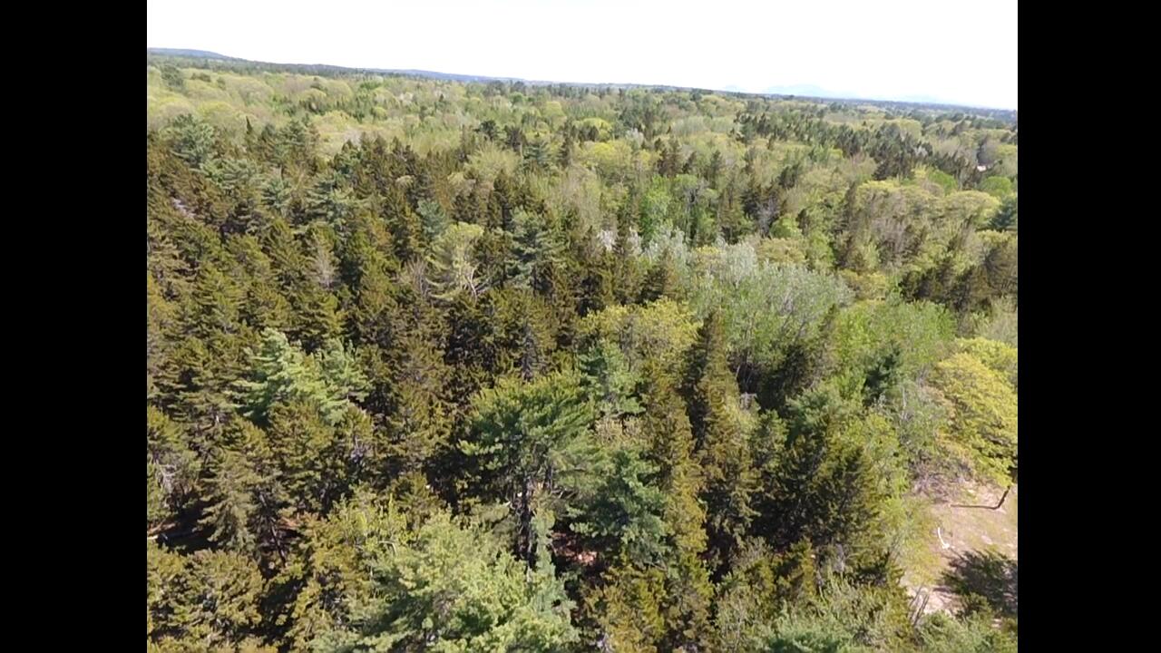 45 Higg Street Property Photo 1