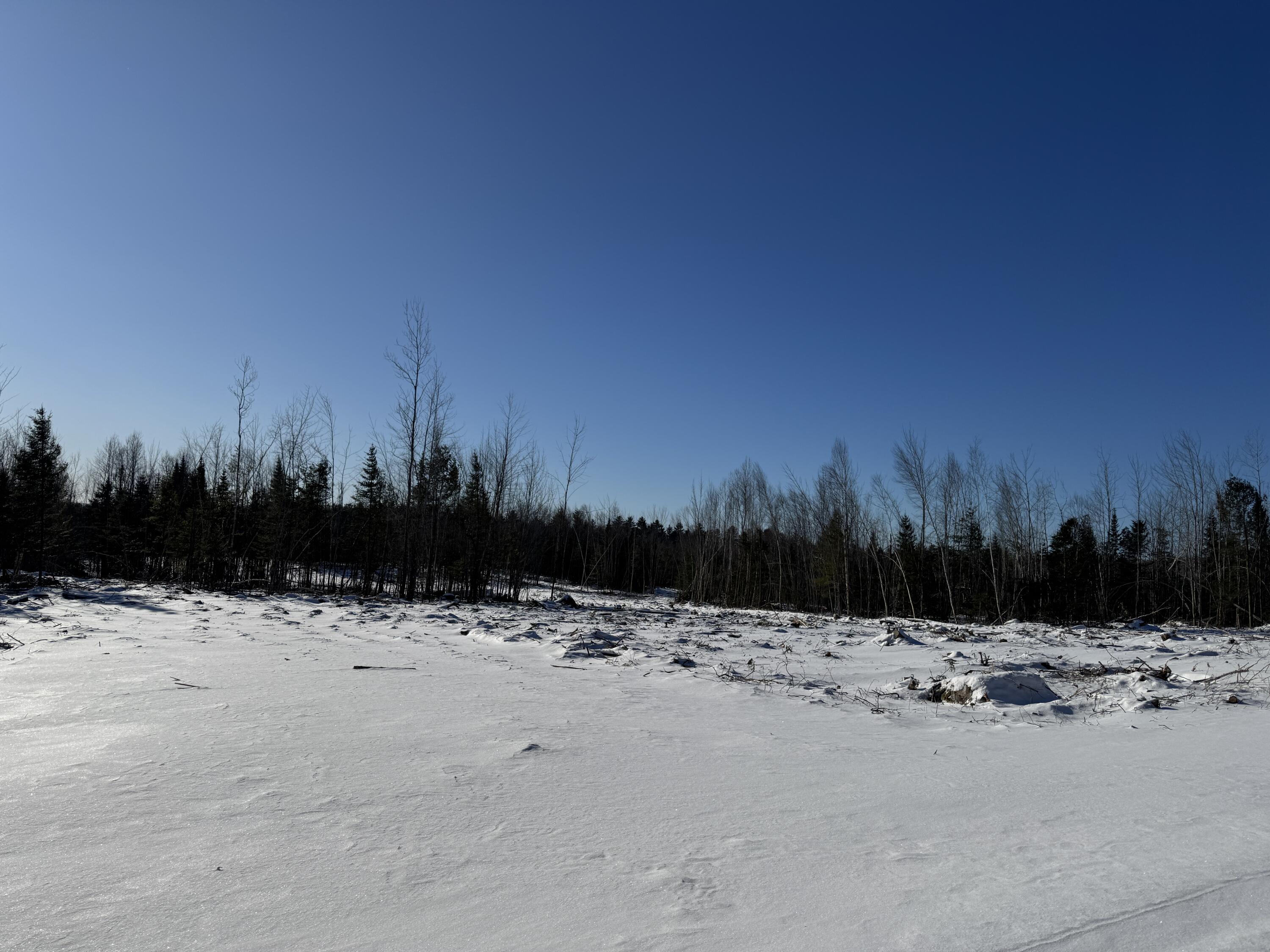 90 Holmes Road Property Photo 2