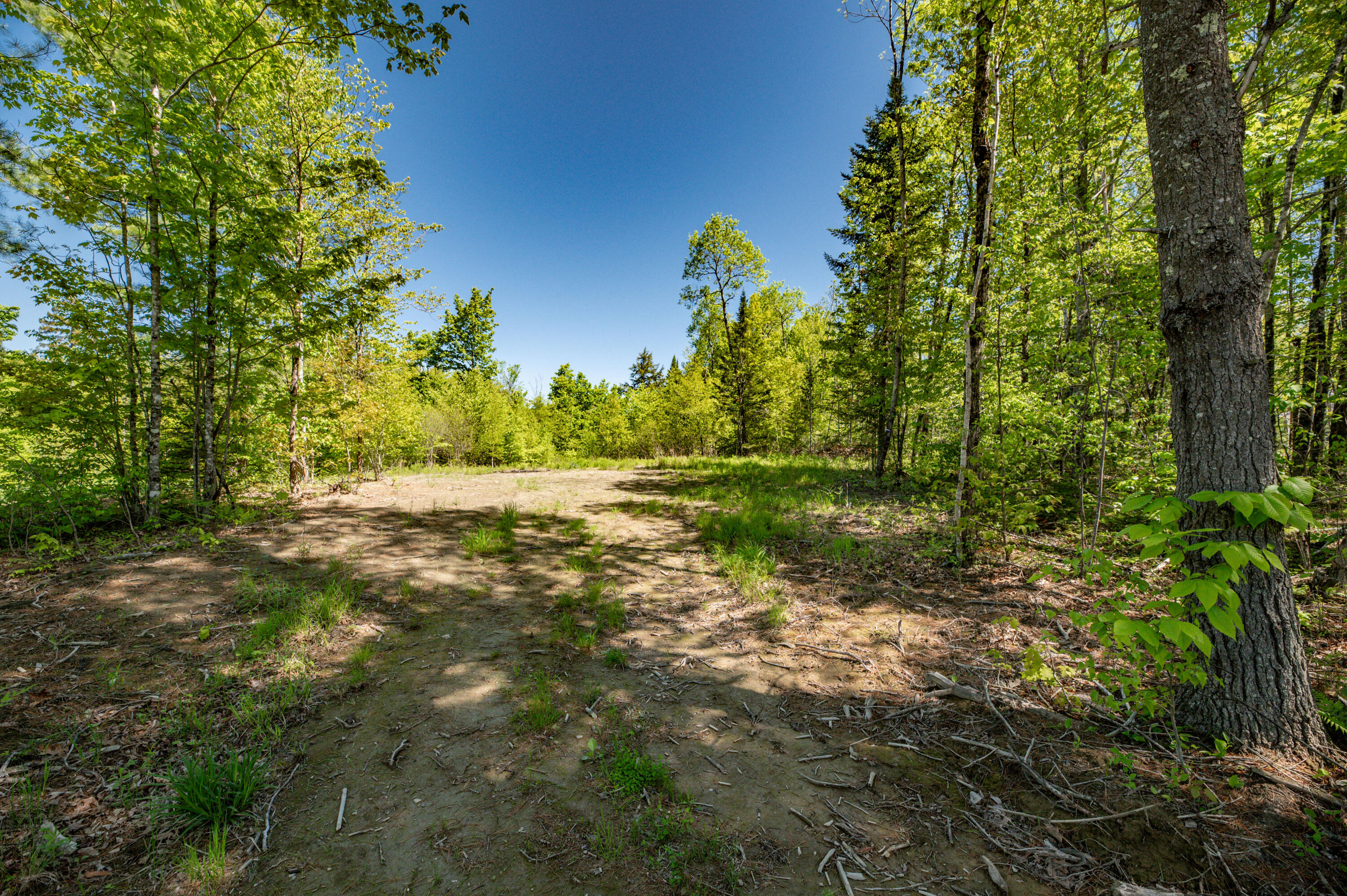 Lot 2 Rockwood Estates Drive Property Photo 5