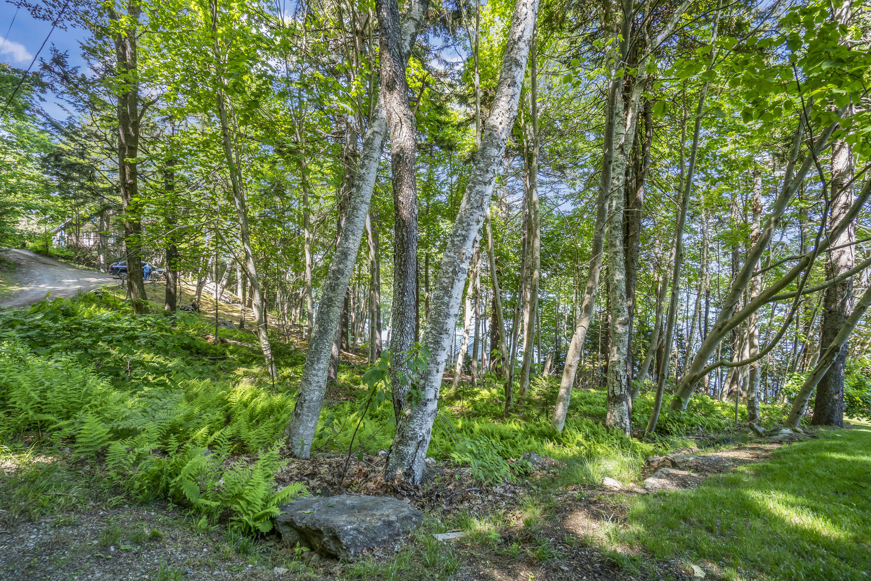 Lot 009 Reny Road Property Photo 12