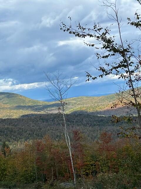 Lot 2e Mountain View Estates E Property Photo 2