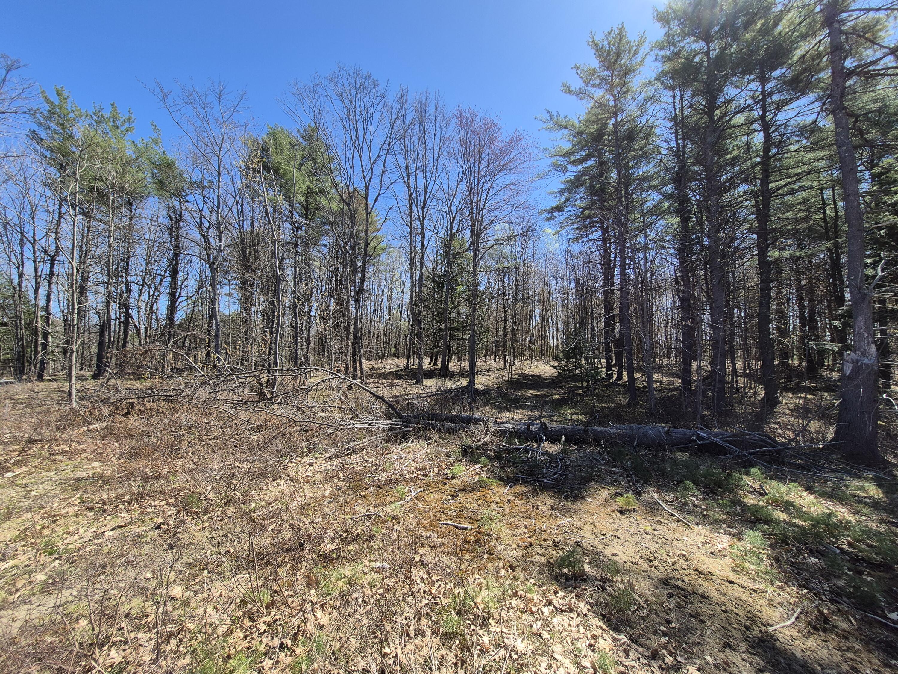 Lot 24e S & V Lane Property Photo 2