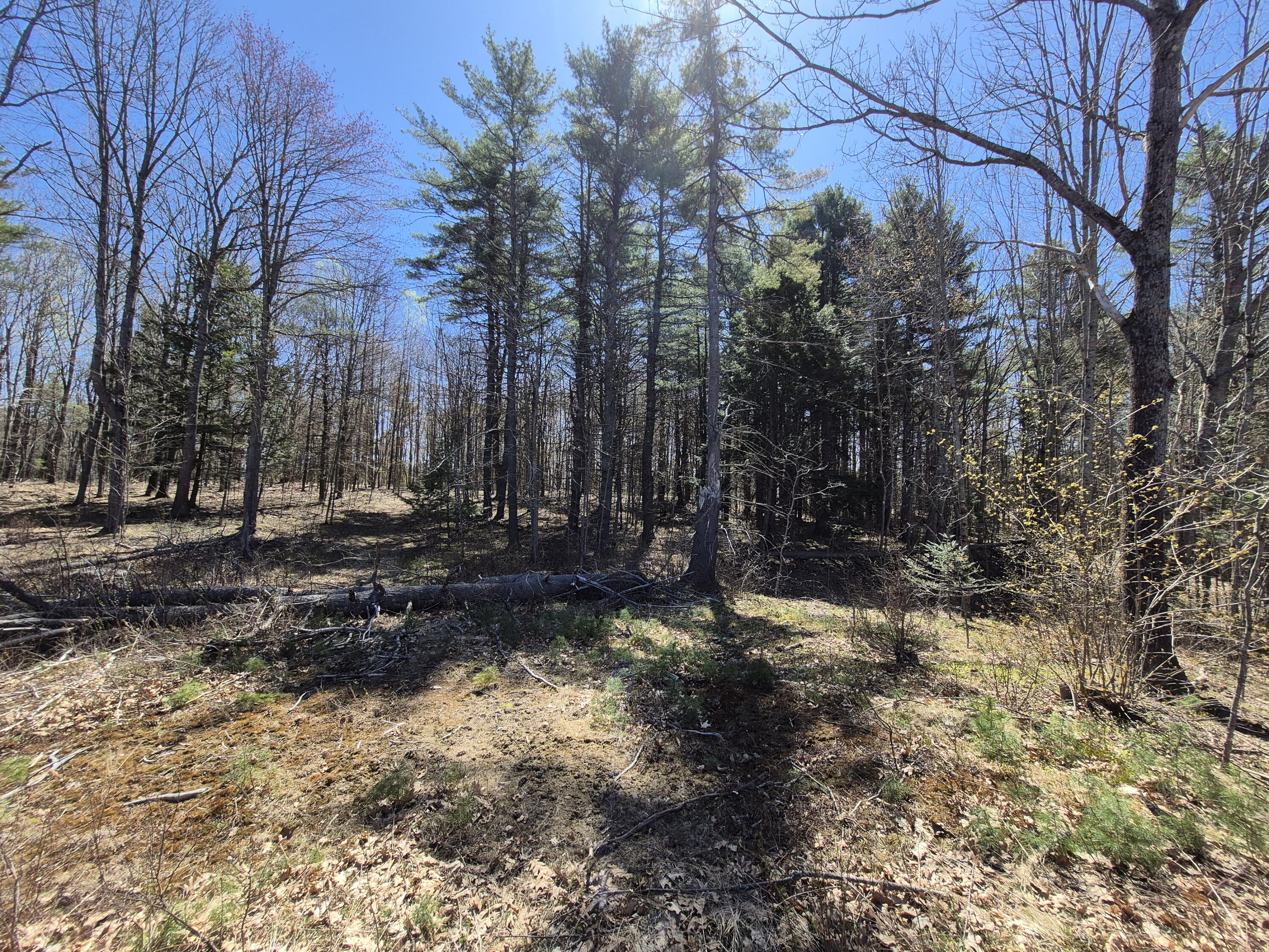 Lot 24e S & V Lane Property Photo 4