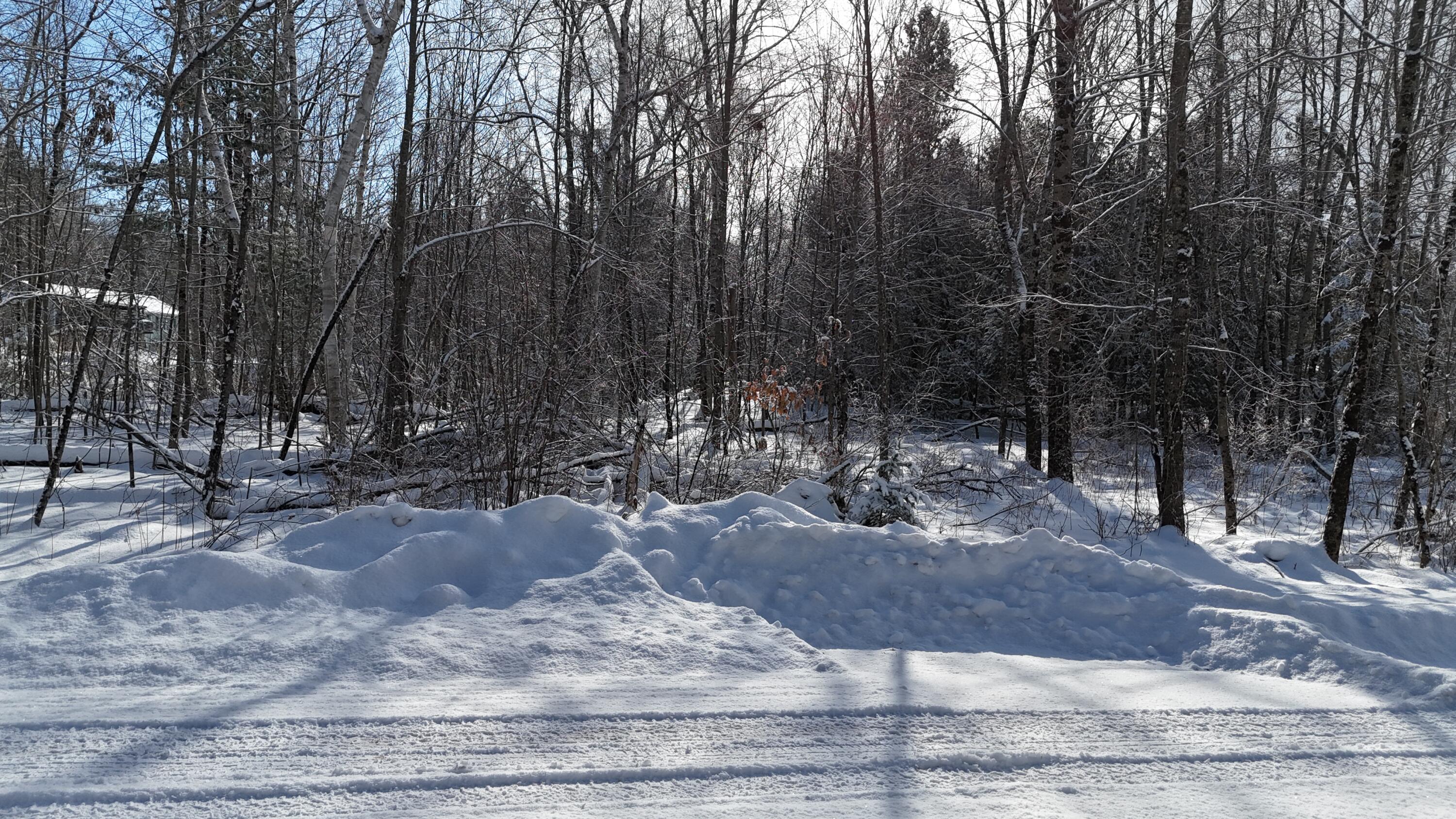 Lot 3-12 Shady Lane Property Photo 4